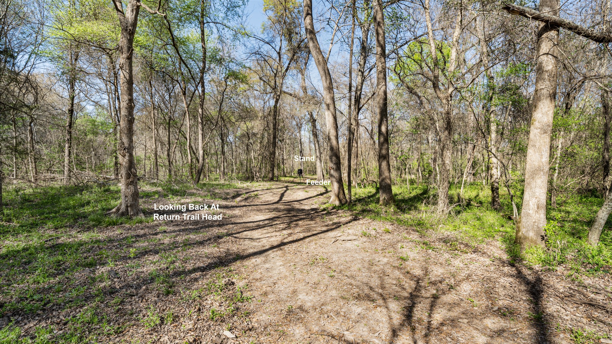Tbd County Road 462 Mineola TX 75773