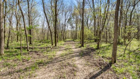 Tbd County Road 462 Mineola TX 75773