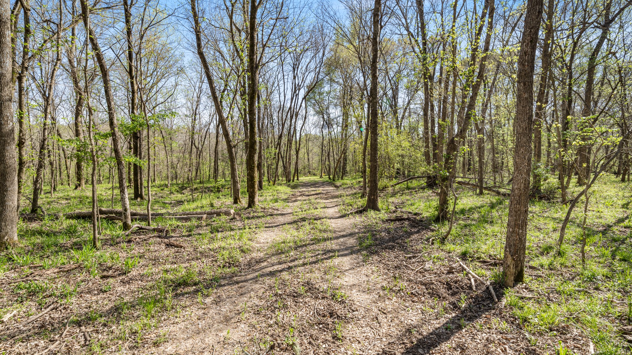 Tbd County Road 462 Mineola TX 75773