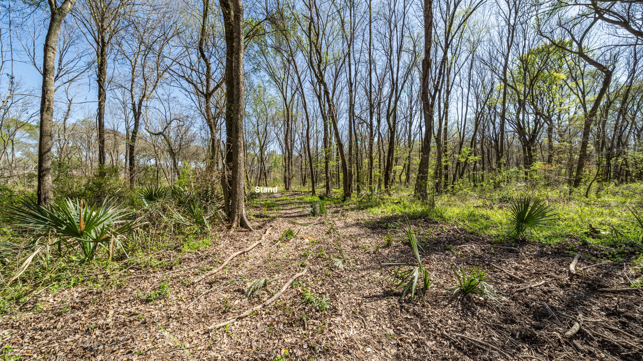 Tbd County Road 462 Mineola TX 75773