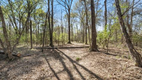 Tbd County Road 462 Mineola TX 75773