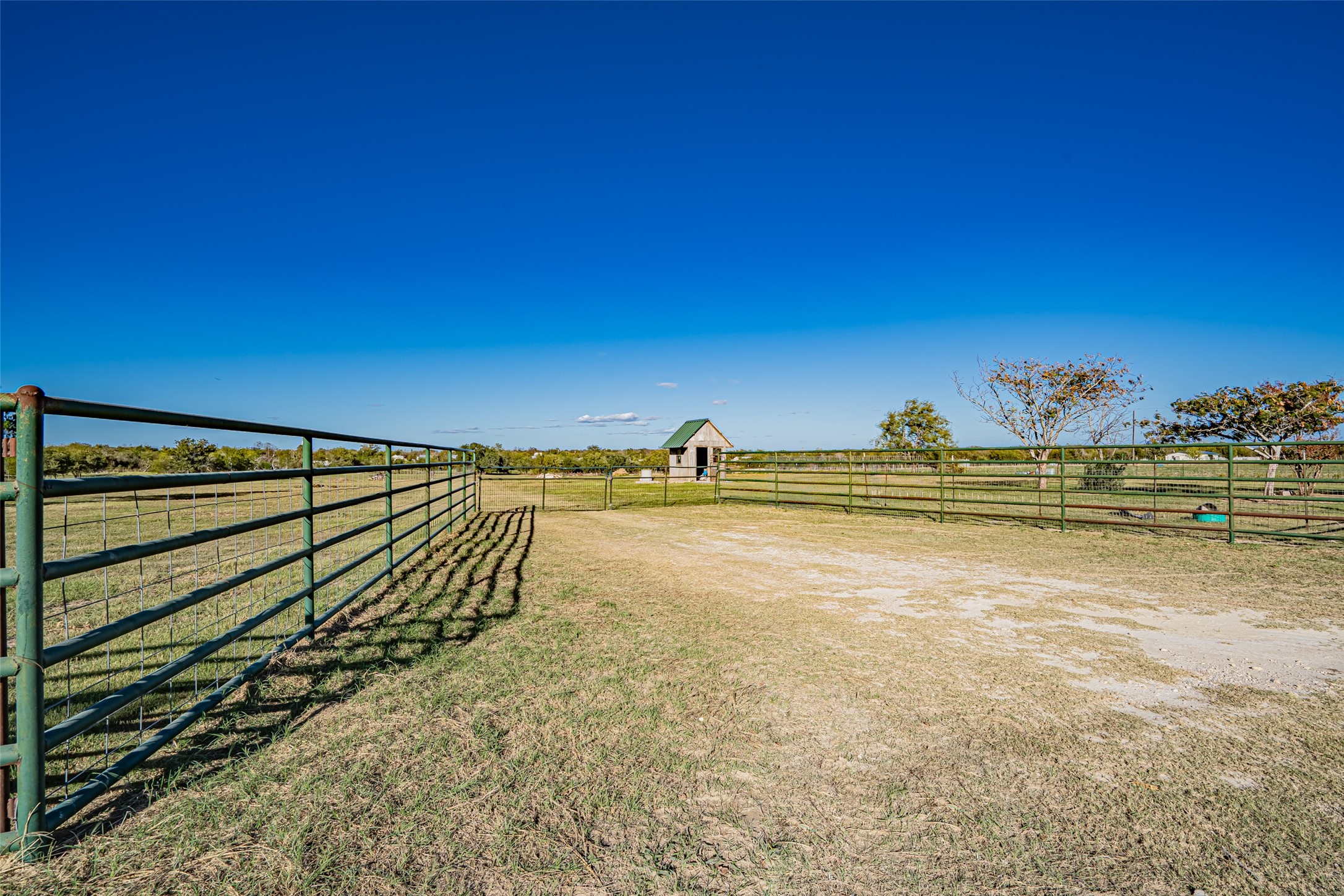410 Douglas Street Dublin TX 76446
