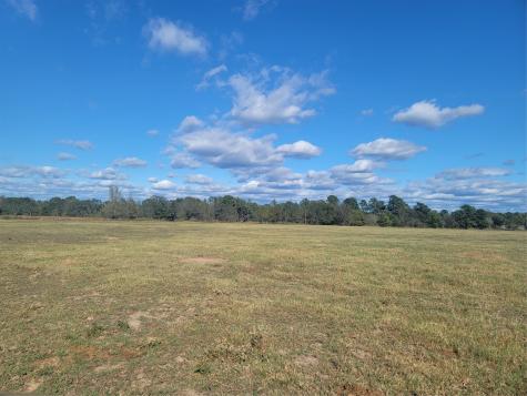 12403 Fm 1975 Gilmer TX 75644