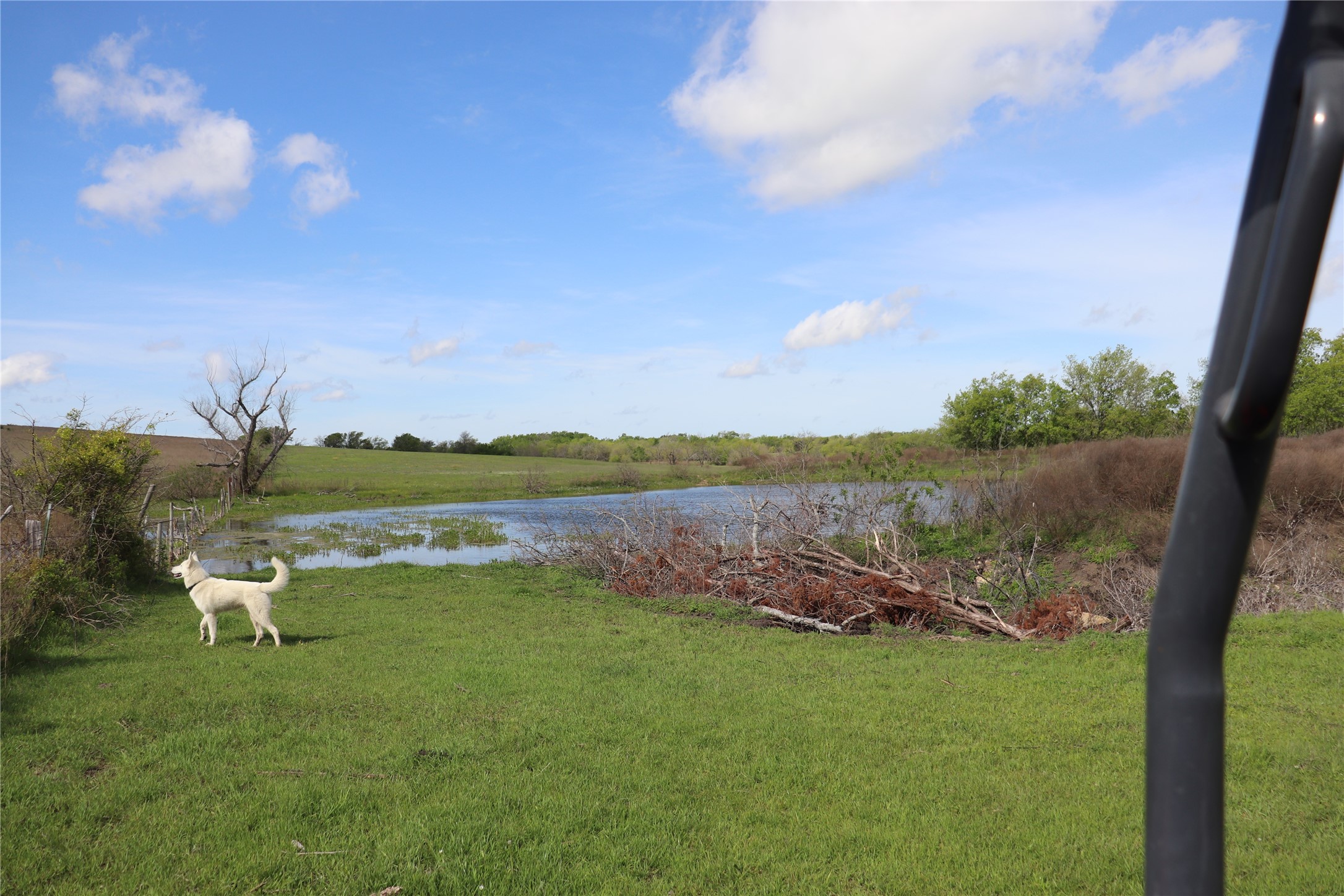 Tbd County Road 1226 Cleburne TX 76033