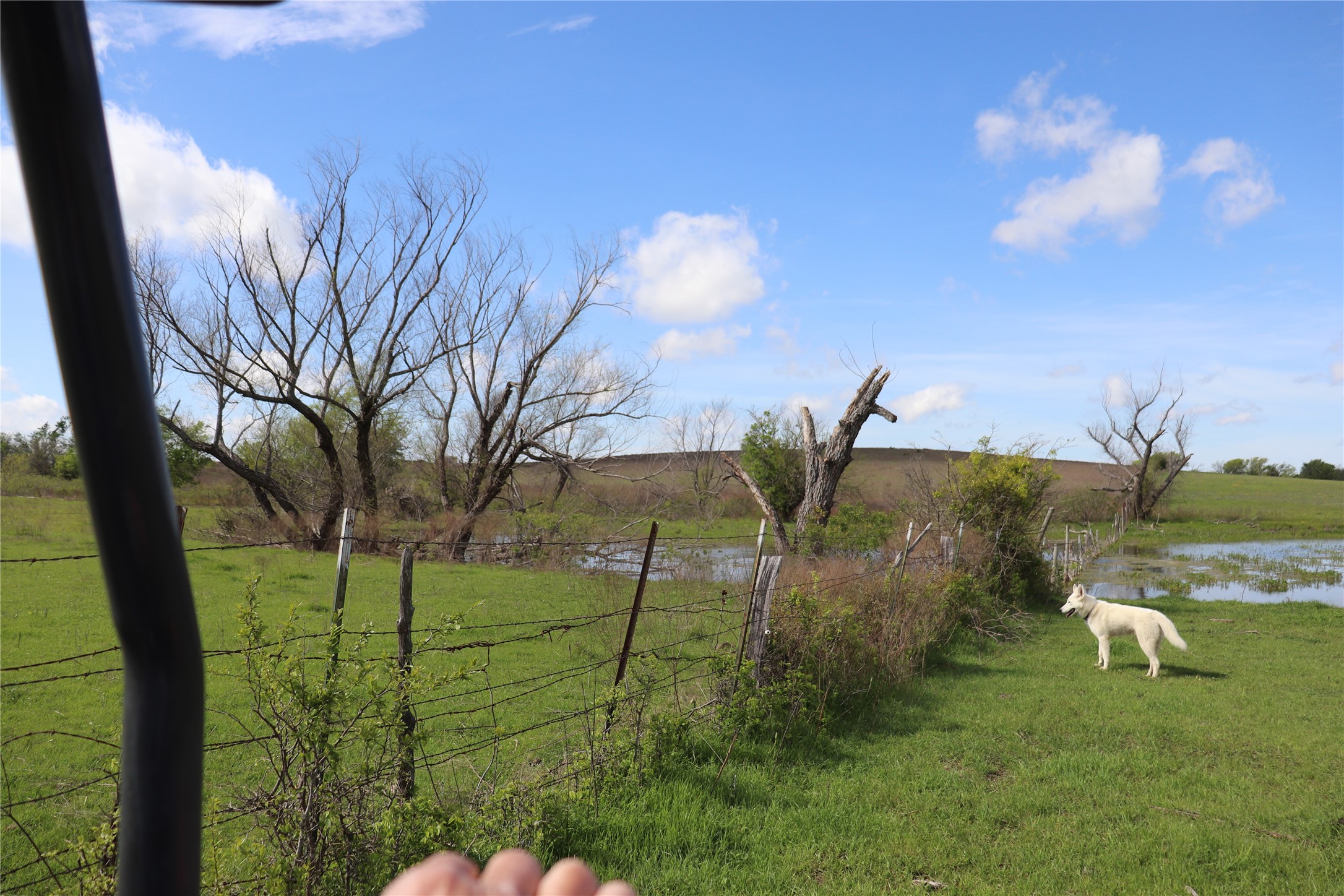 Tbd County Road 1226 Cleburne TX 76033
