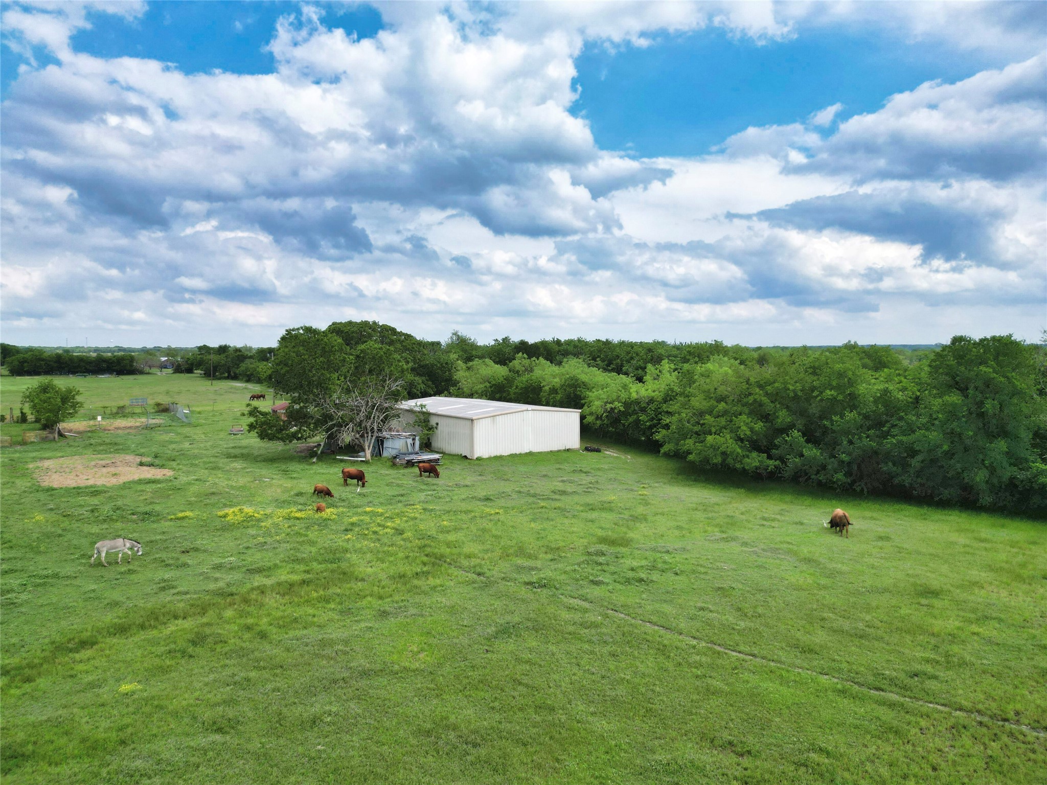 4488 County Road 2617 Caddo Mills TX 75135