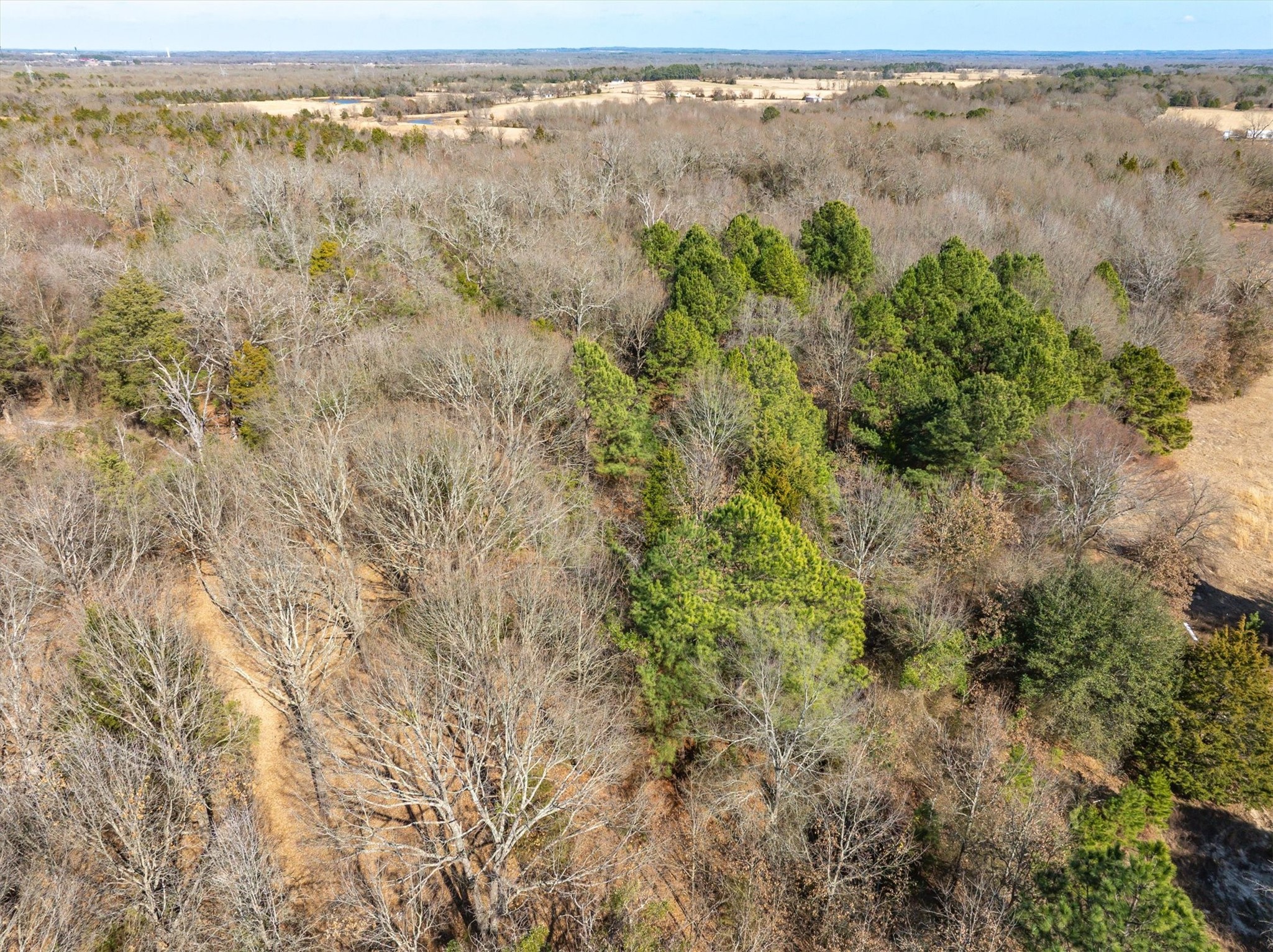 Tbd Vz County Road 4511 Ben Wheeler TX 75754