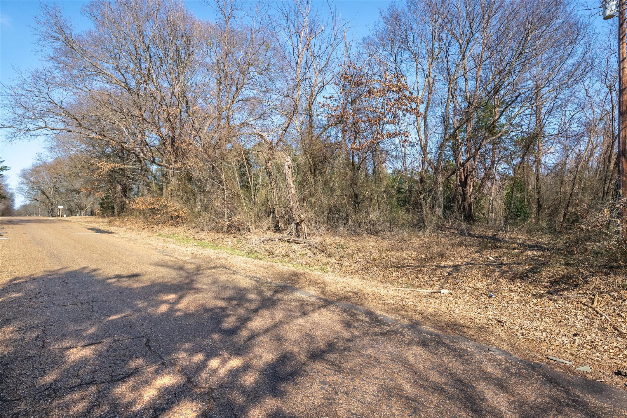 Tbd Vz County Road 4511 Ben Wheeler TX 75754