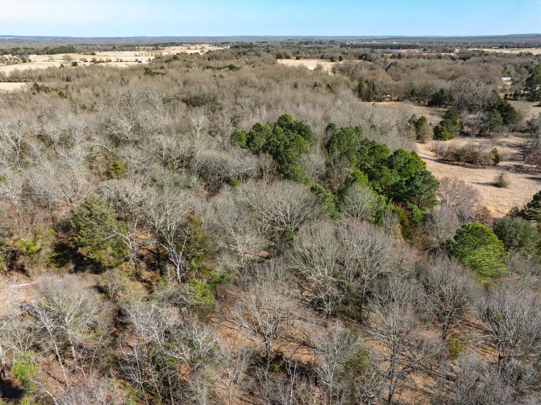 Tbd Vz County Road 4511 Ben Wheeler TX 75754