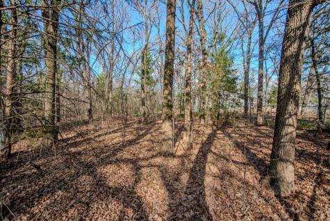 Lot 744 Oak Haven Drive Gun Barrel City TX 75156