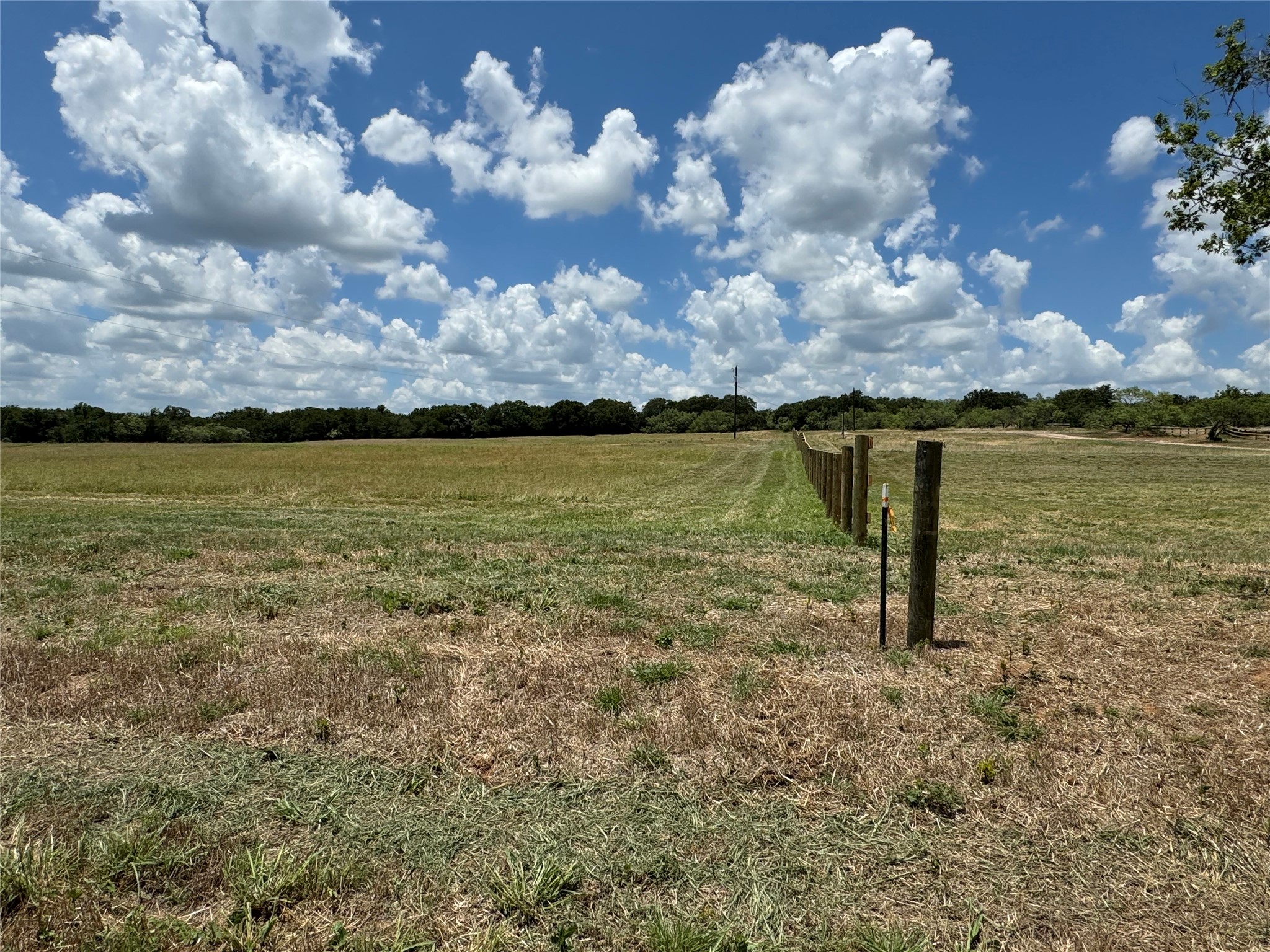 262 County Road 3735 Road Bridgeport TX 76426