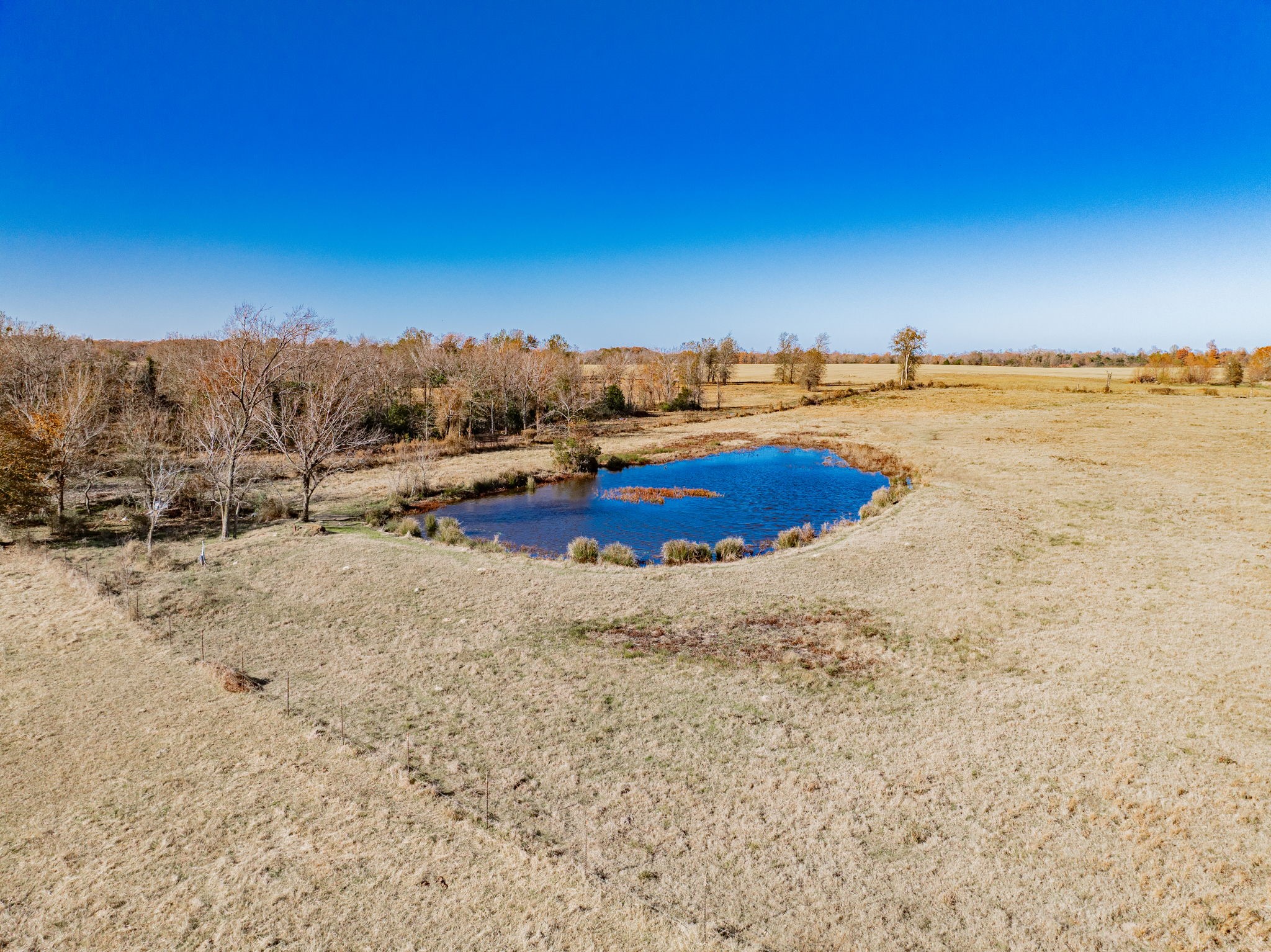 000 Vz County Road 2304 Canton TX 75103