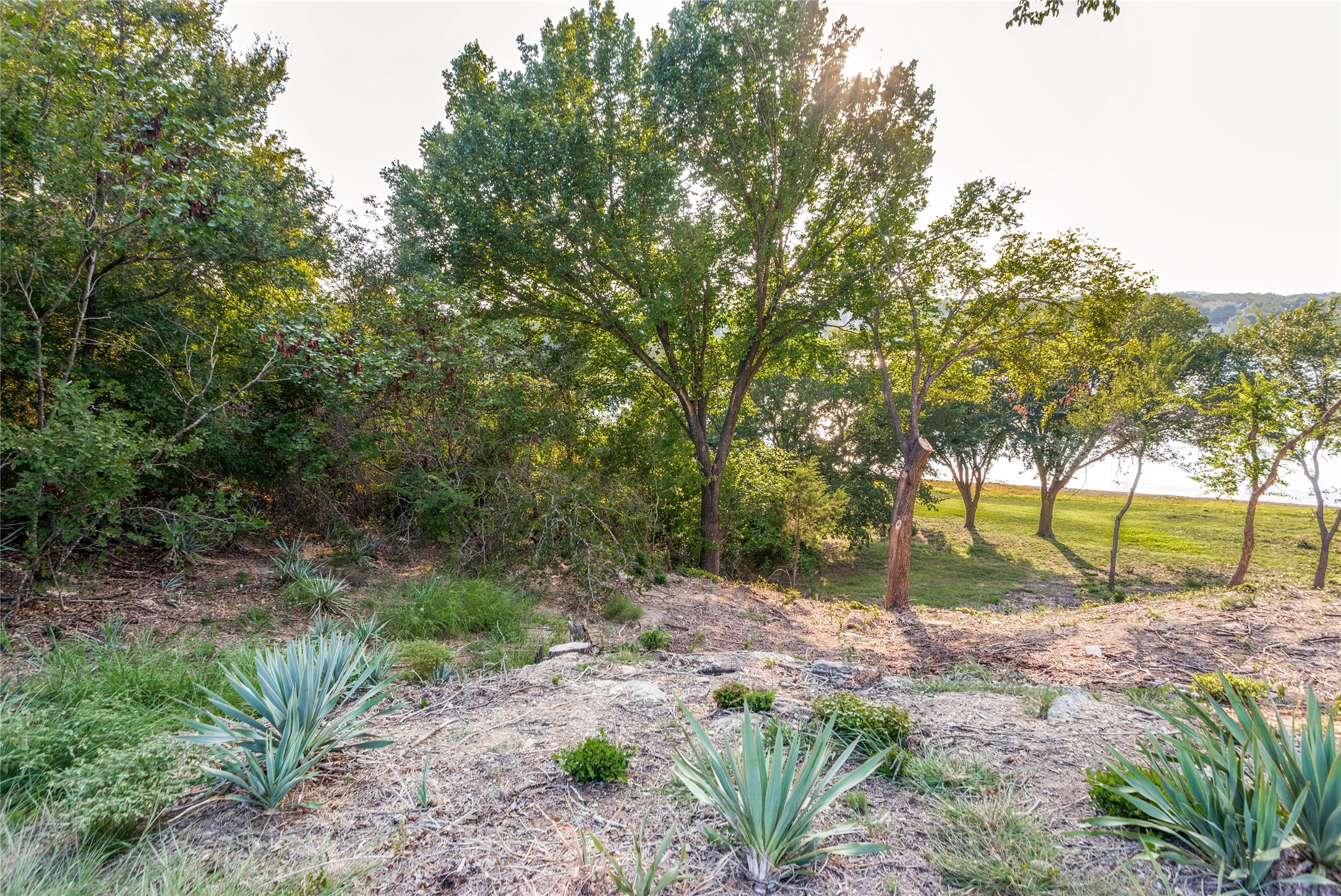 141 Lakeview Drive Aledo TX 76008