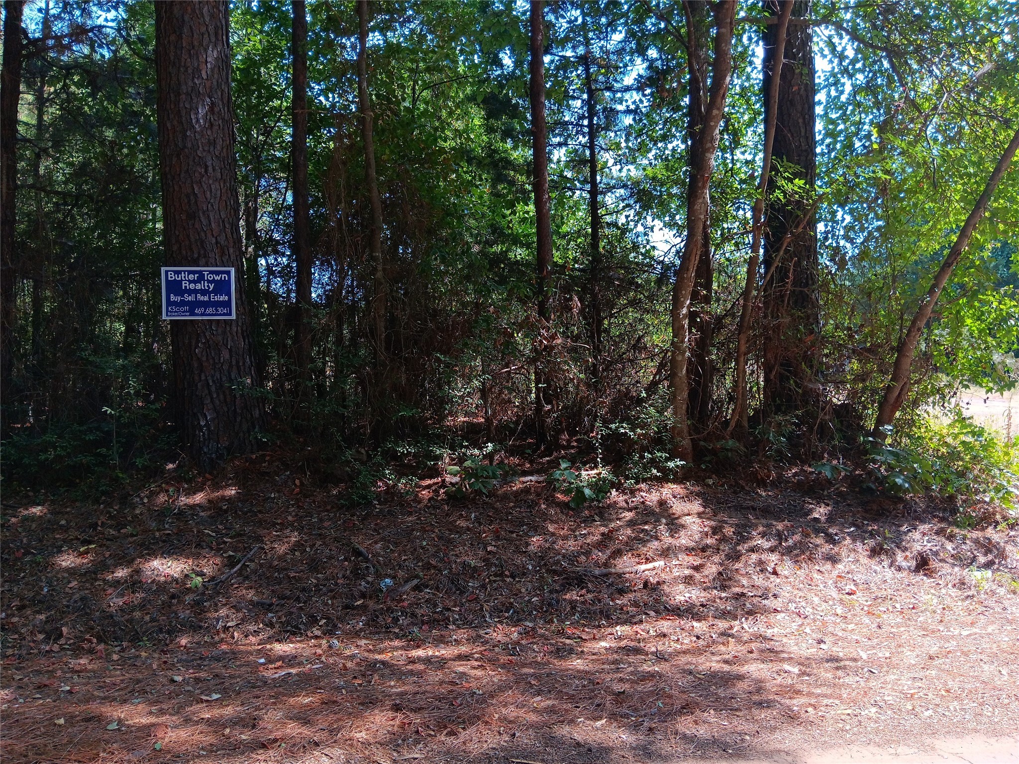 Tbd County Road 223 Carthage TX 75633