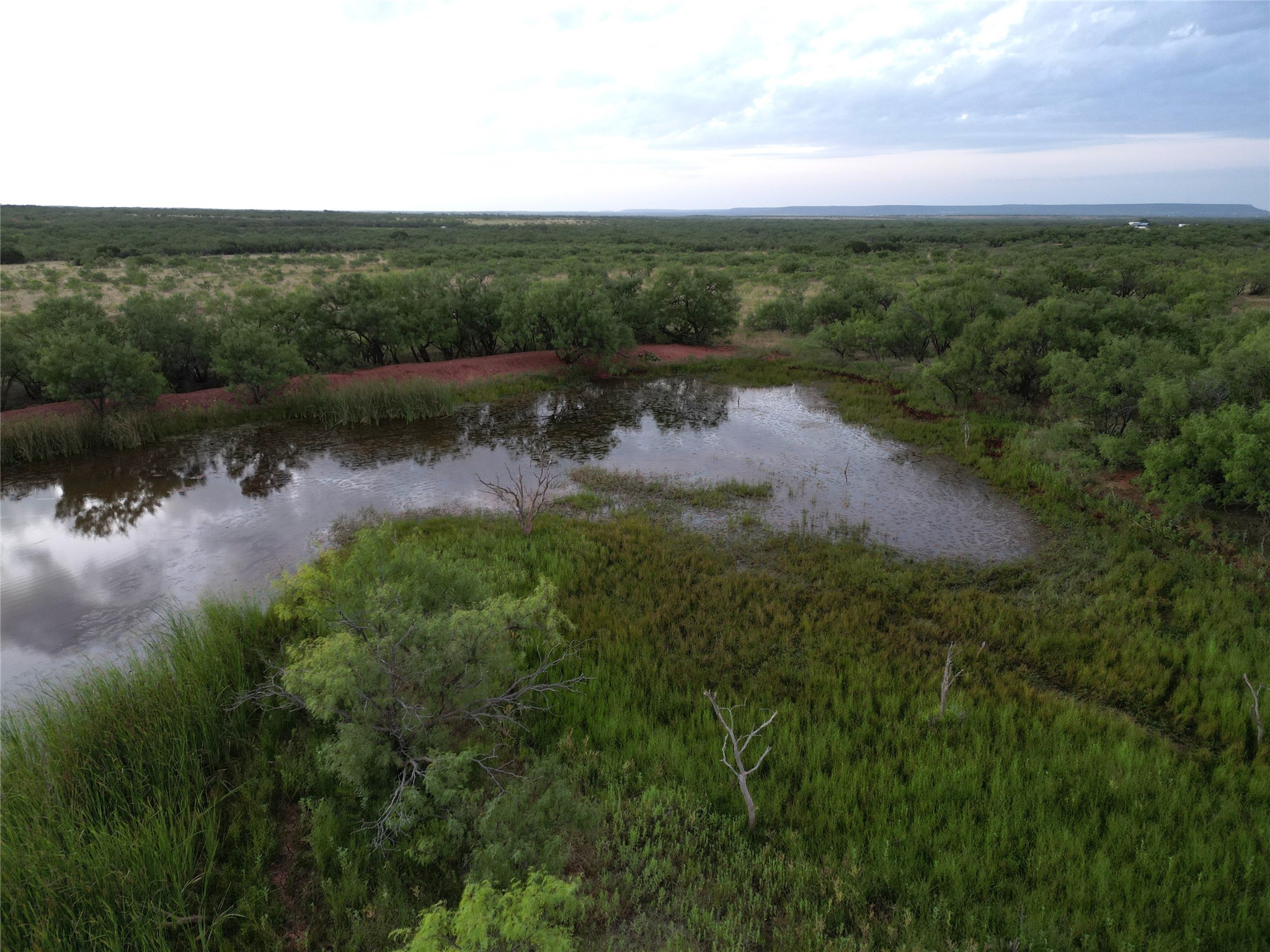 Tbd Cr 177 Ovalo TX 79541