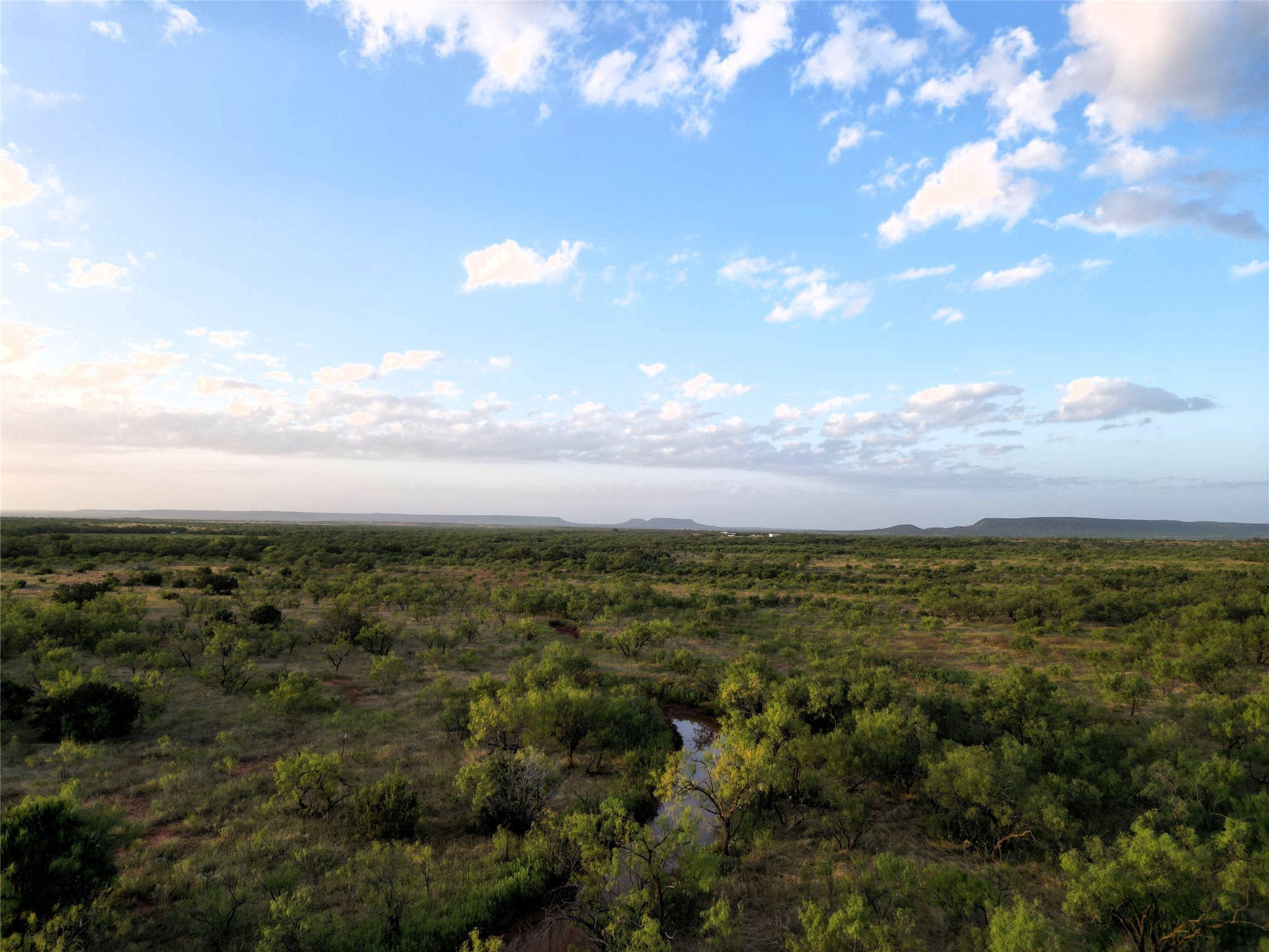 Tbd Cr 177 Ovalo TX 79541