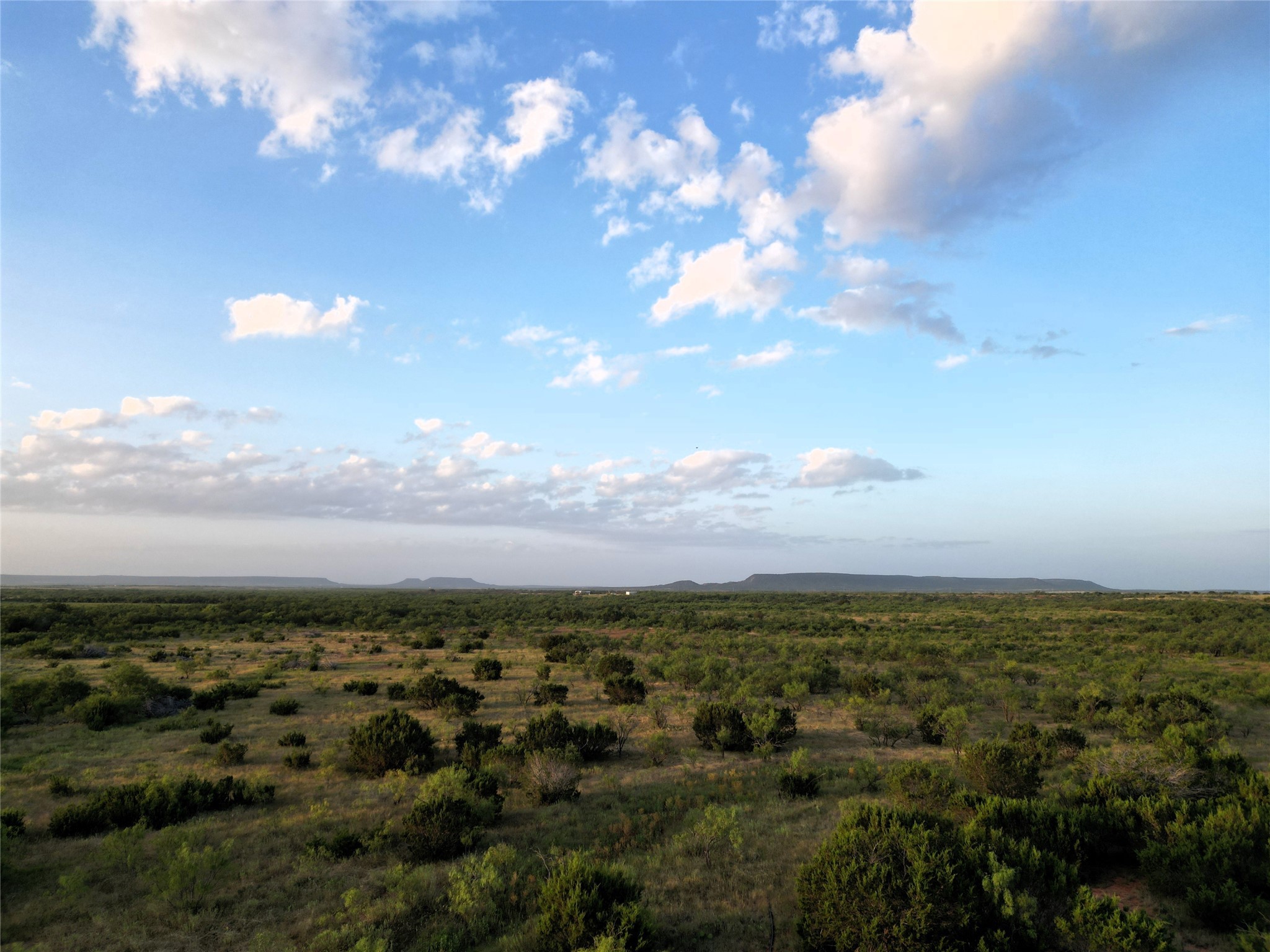 Tbd Cr 177 Ovalo TX 79541