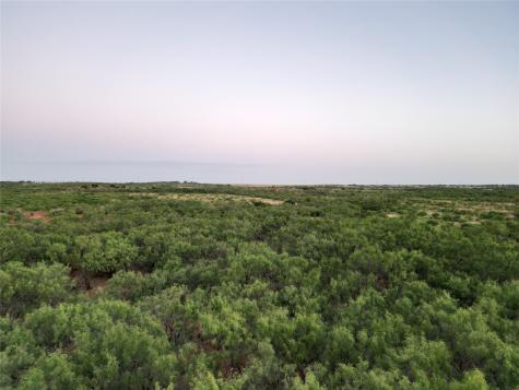 Tbd Cr 177 Ovalo TX 79541