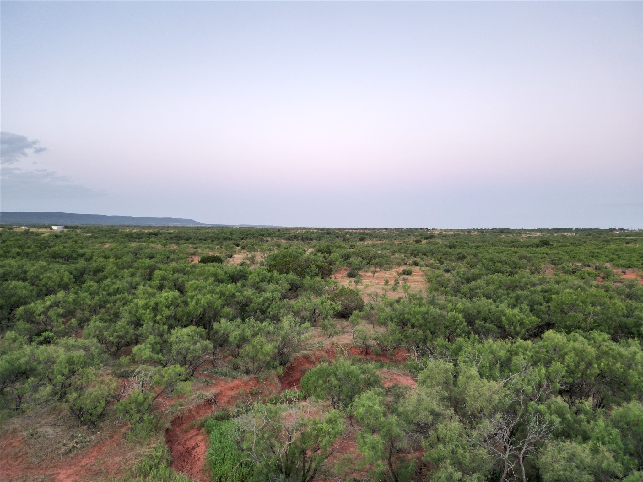 Tbd Cr 177 Ovalo TX 79541