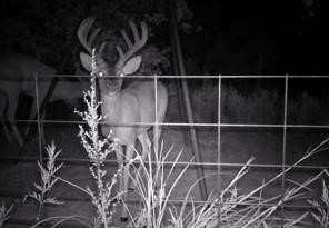1690 Jim Ned Road Montague TX 76251