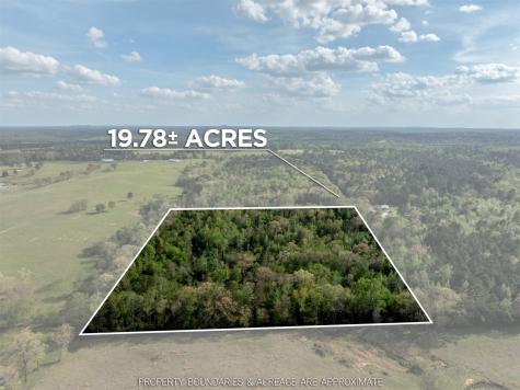 0 White Tail Road Gilmer TX 75644