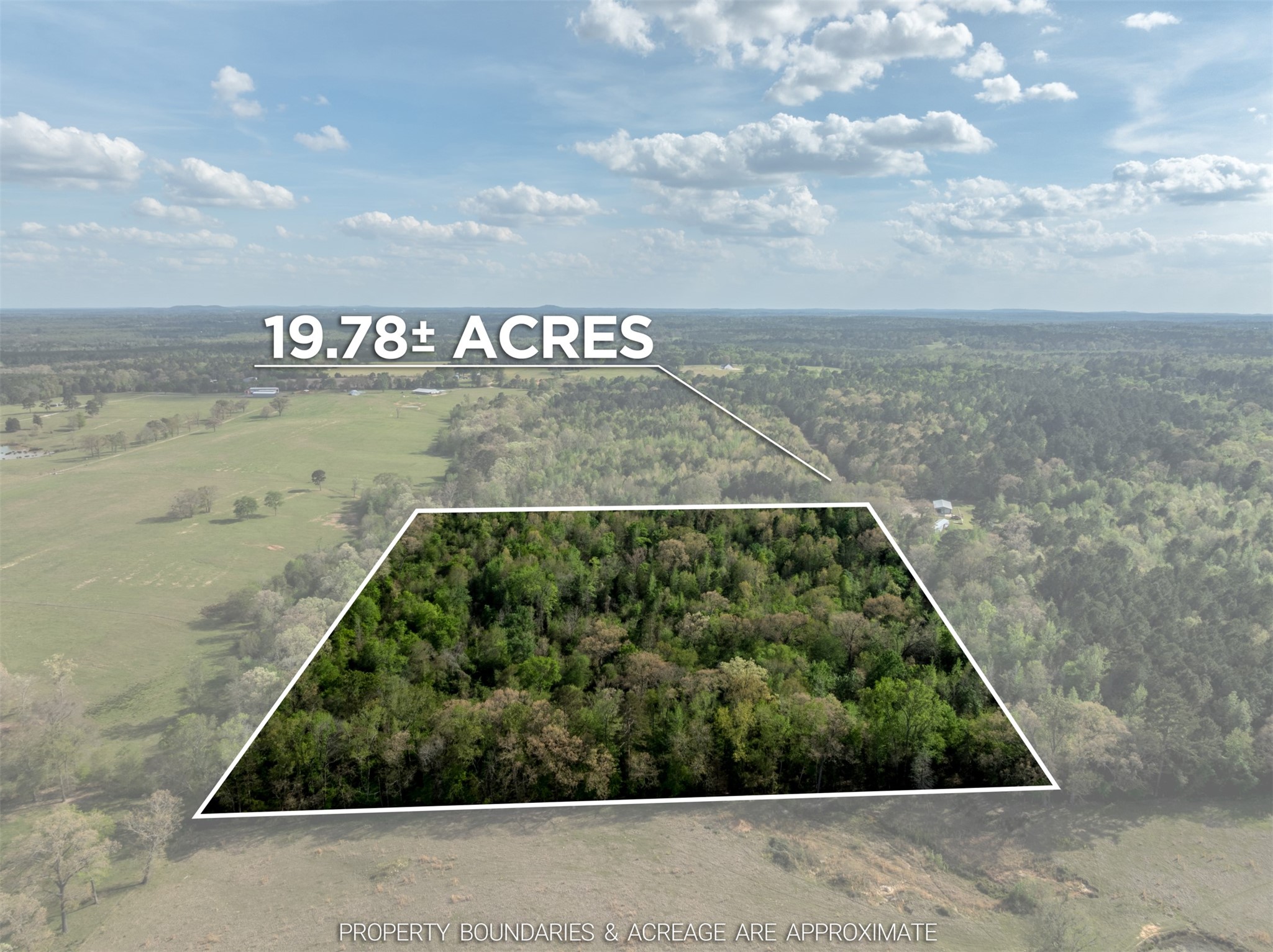0 White Tail Road Gilmer TX 75644