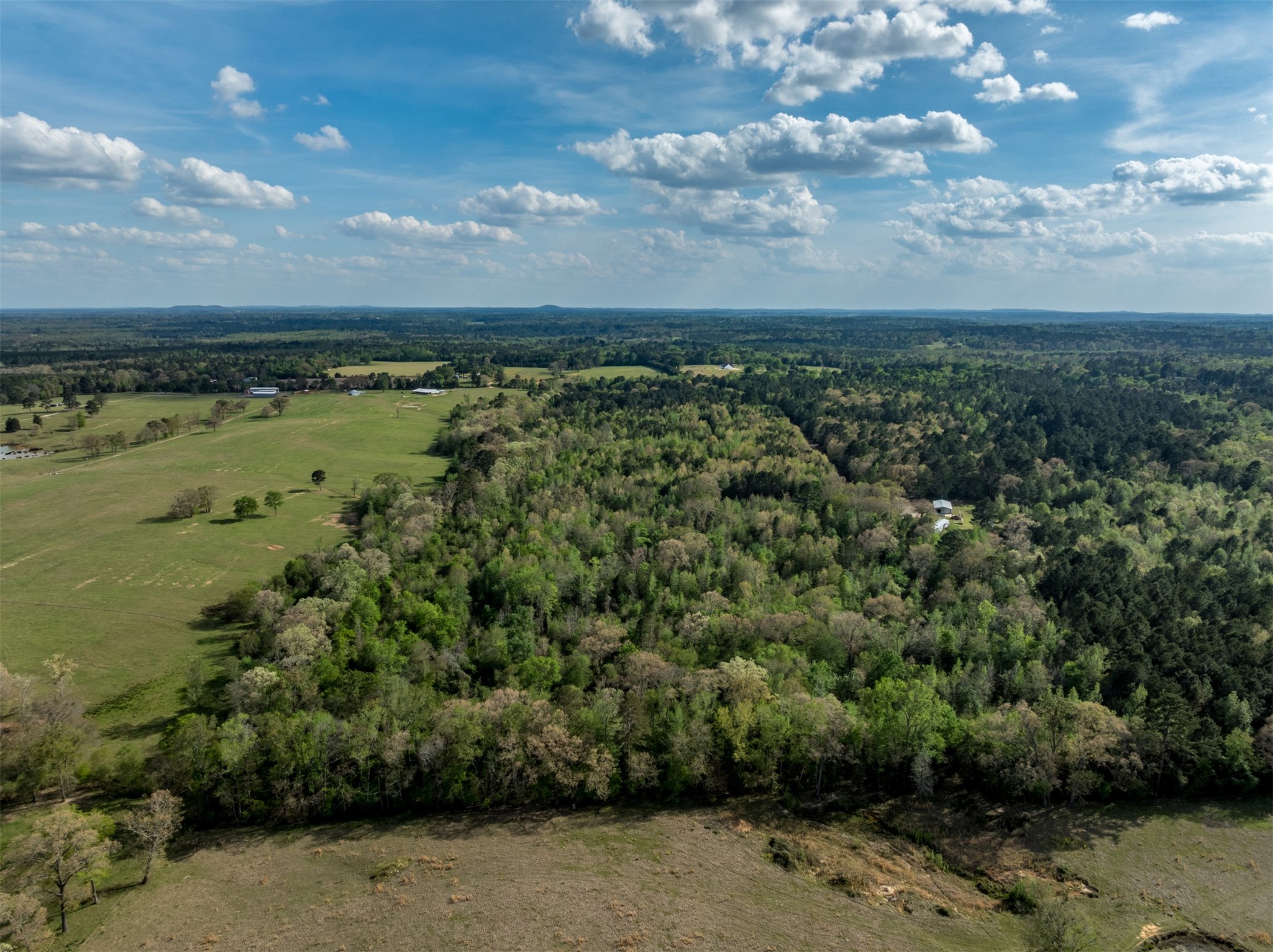 0 White Tail Road Gilmer TX 75644