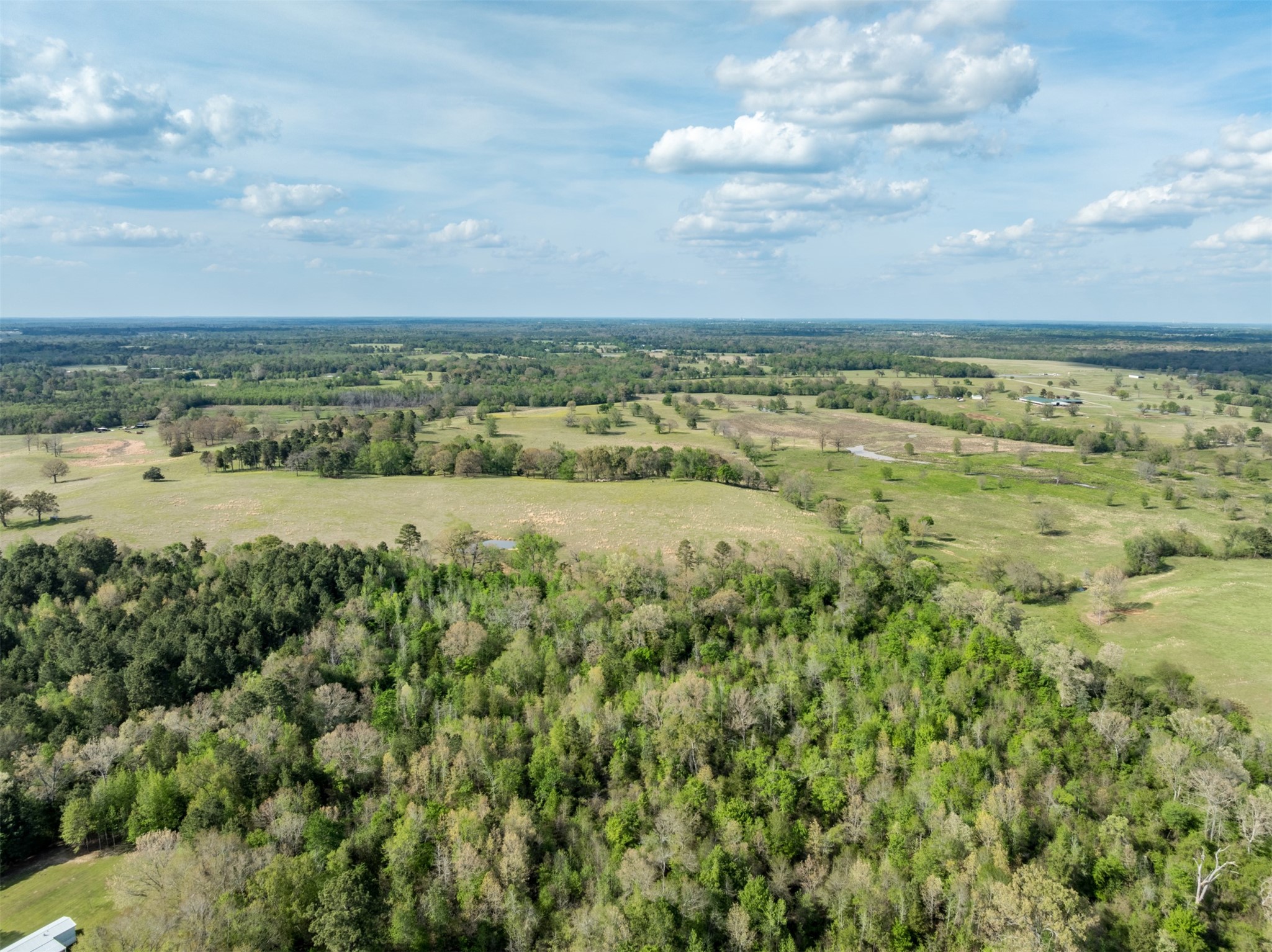 0 White Tail Road Gilmer TX 75644