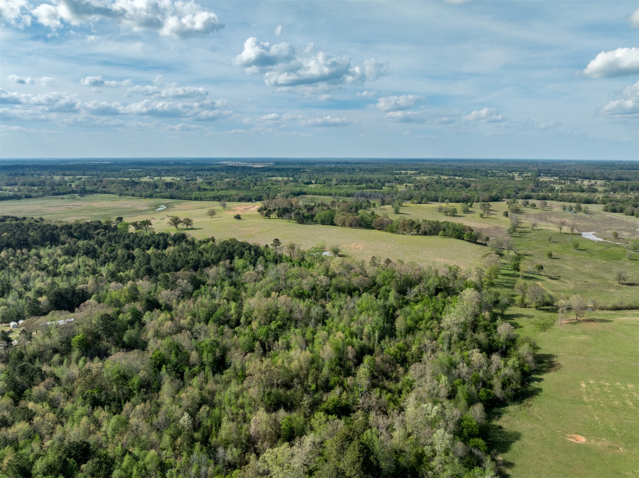 0 White Tail Road Gilmer TX 75644