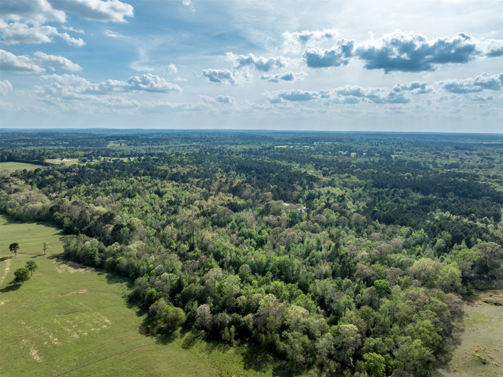 0 White Tail Road Gilmer TX 75644