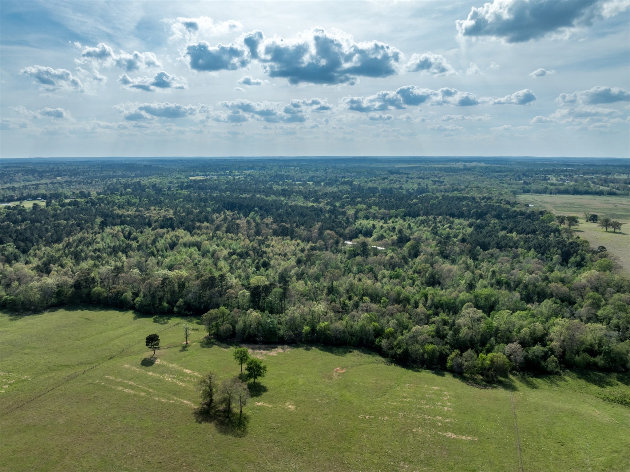 0 White Tail Road Gilmer TX 75644