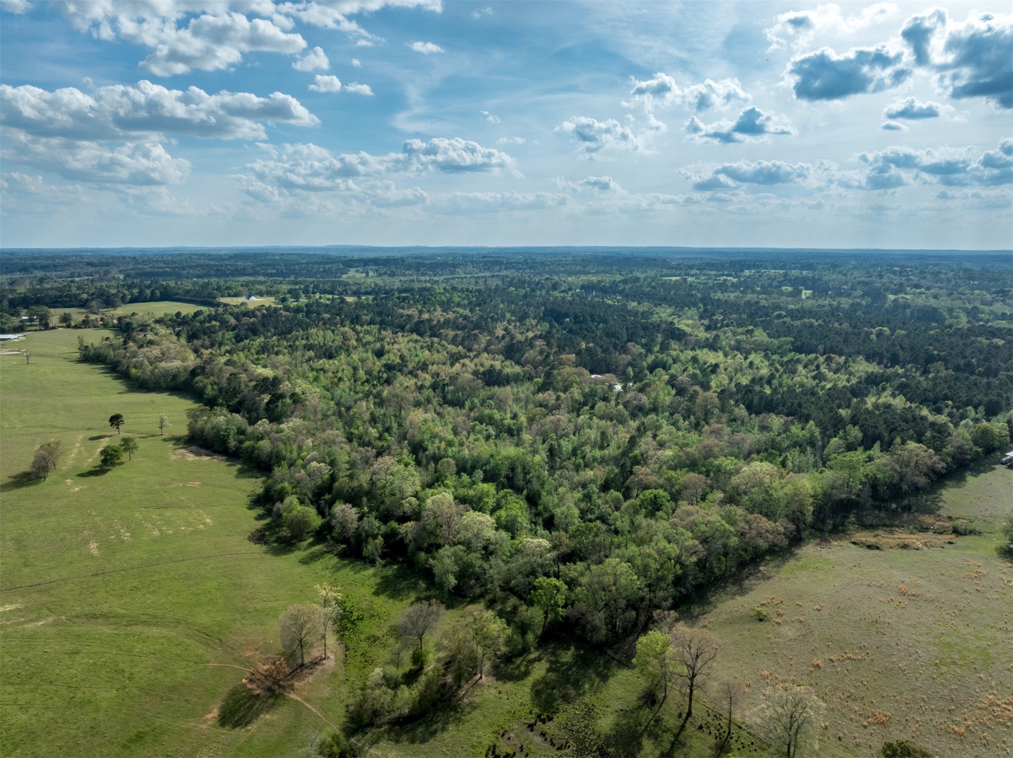 0 White Tail Road Gilmer TX 75644