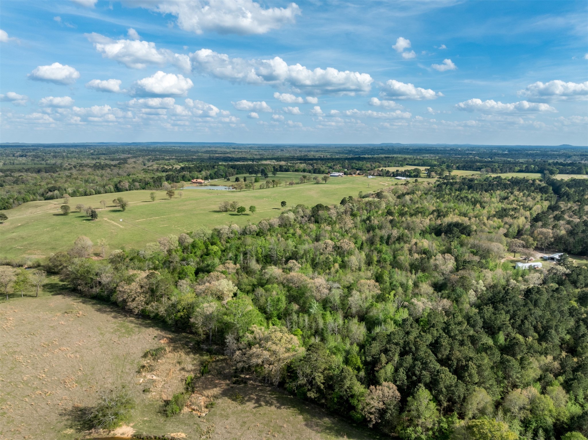 0 White Tail Road Gilmer TX 75644