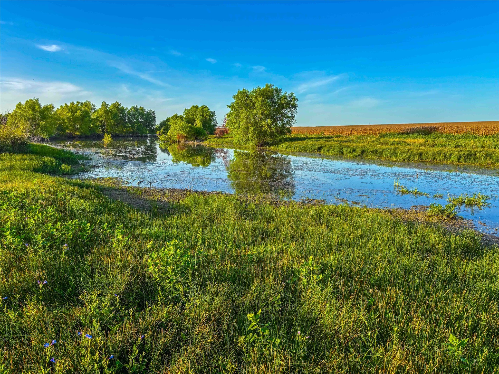 Unk Fm-2268 Holland TX 76534