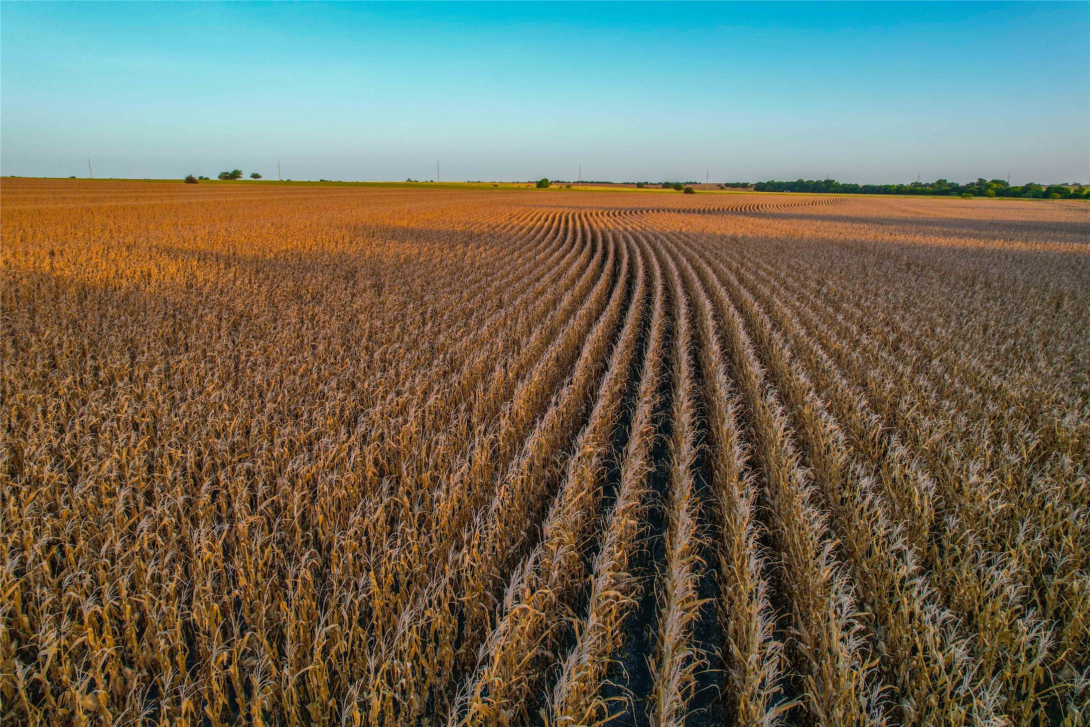 Unk Fm-2268 Holland TX 76534