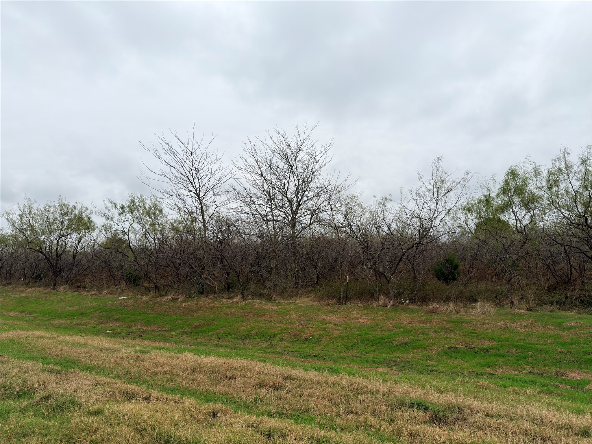 Lot 3-2 Highway 31 Bypass Corsicana TX 75110
