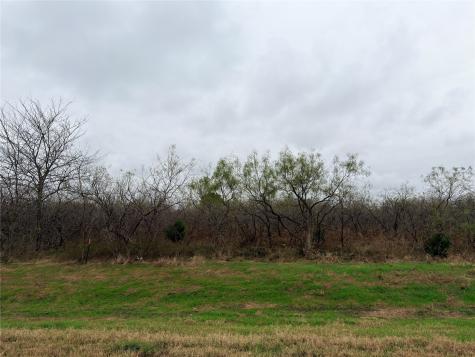 Lot 3-2 Highway 31 Bypass Corsicana TX 75110
