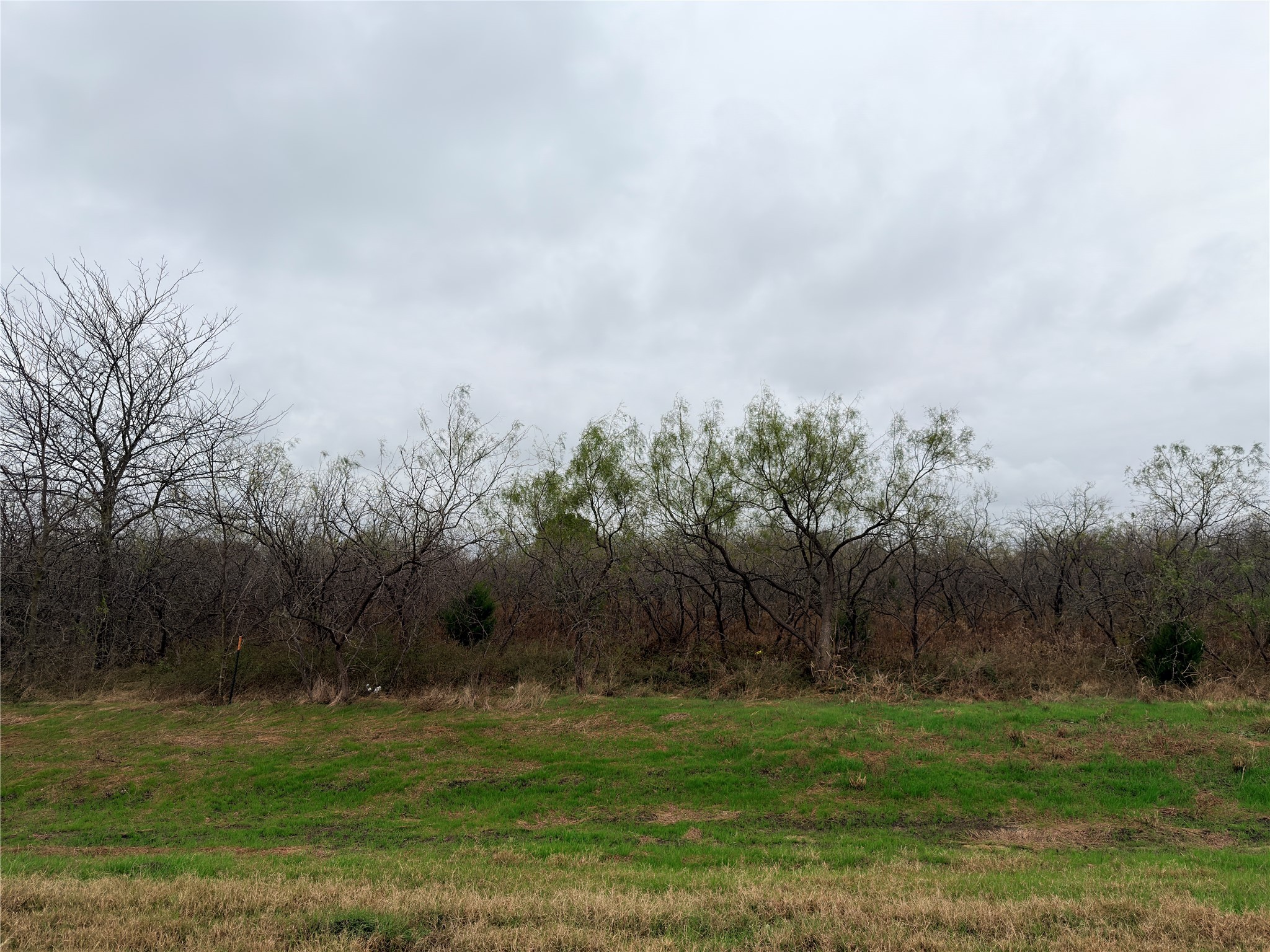 Lot 3-2 Highway 31 Bypass Corsicana TX 75110