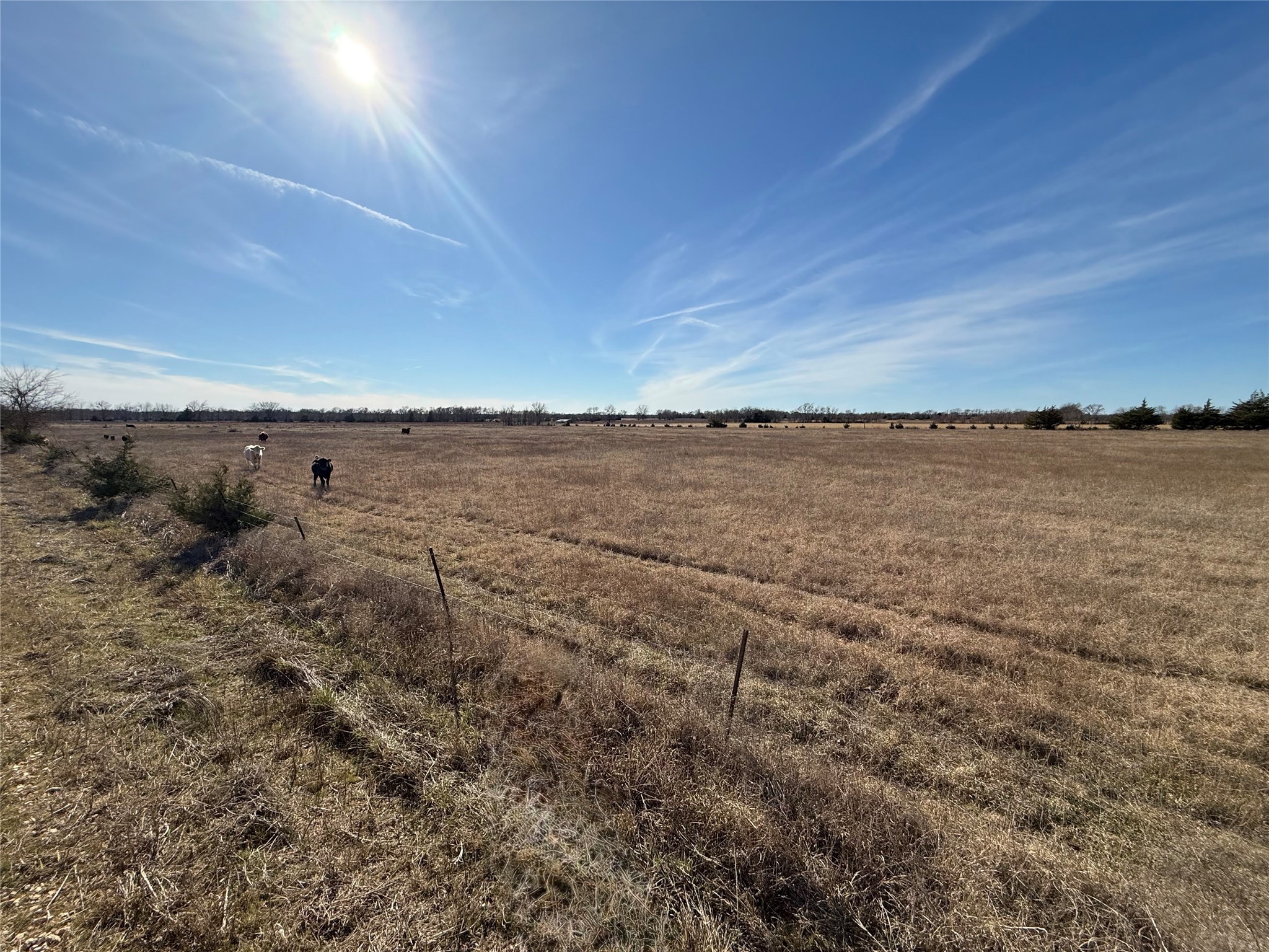 Tbd Cr 15540 Paris TX 75462