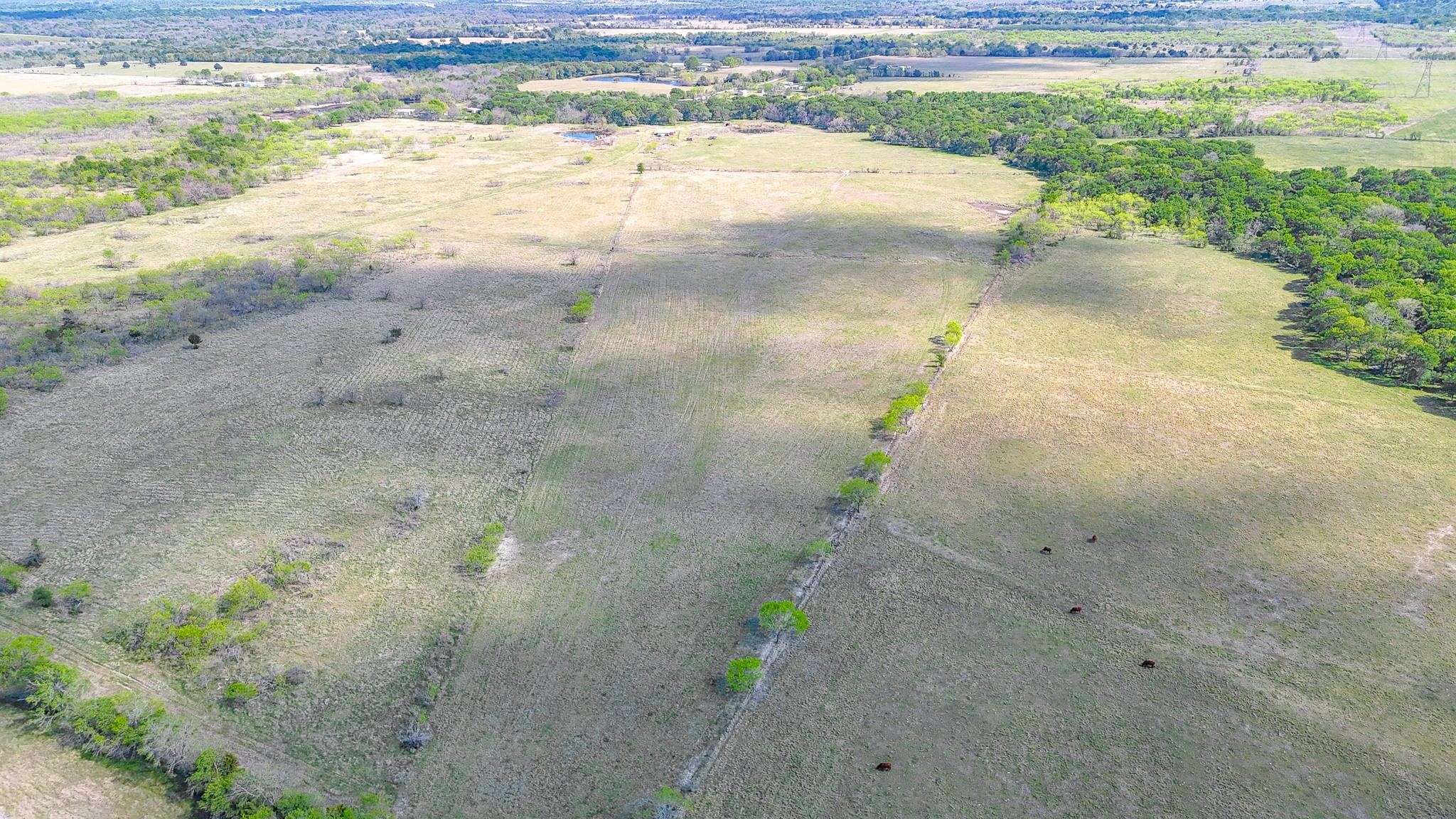 6600 SW County Road 2150 Richland TX 76681