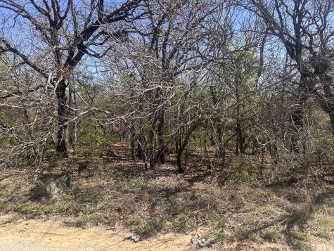 Tbd Palmetto Court Runaway Bay TX 76426