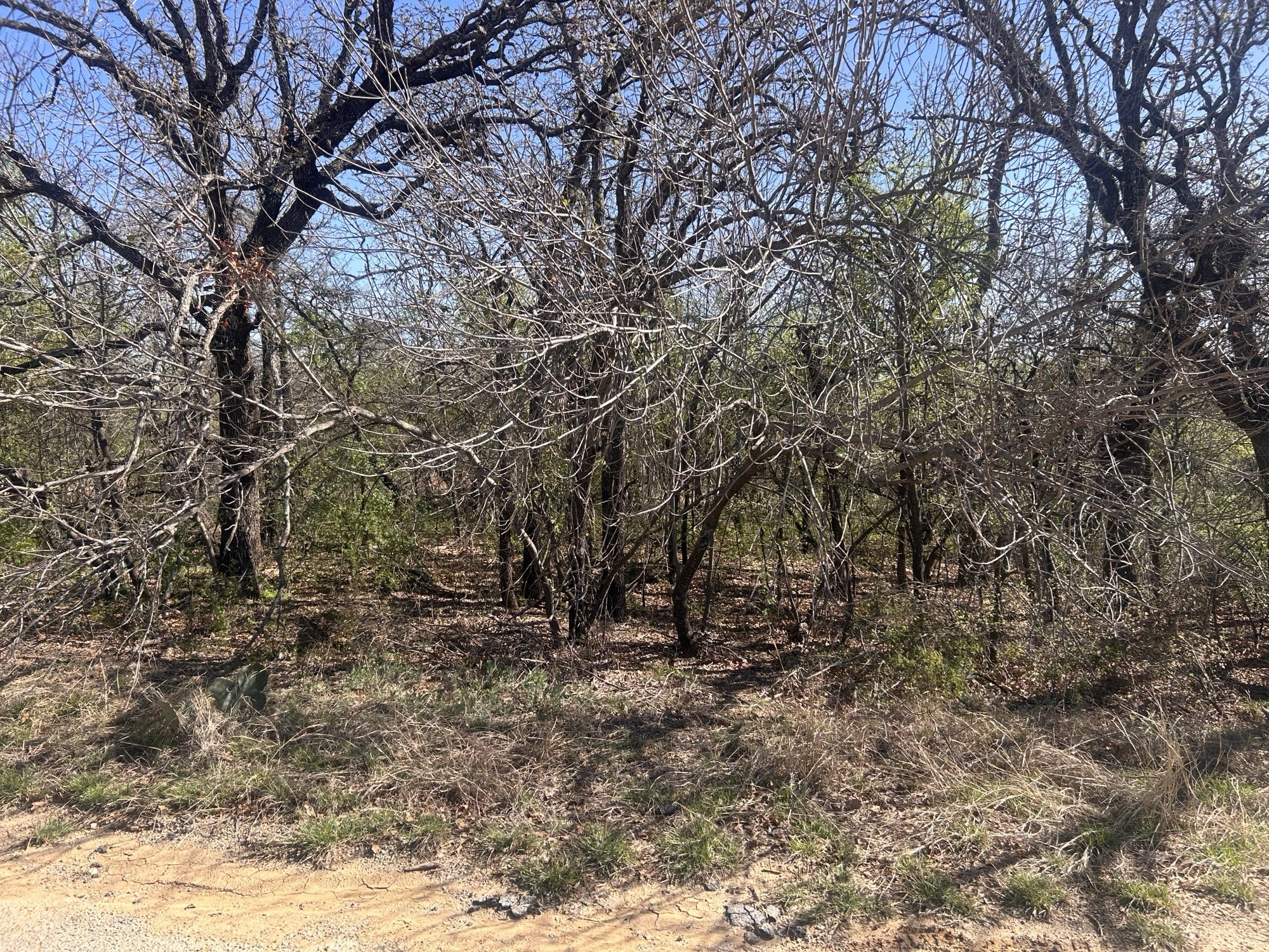 Tbd Palmetto Court Runaway Bay TX 76426