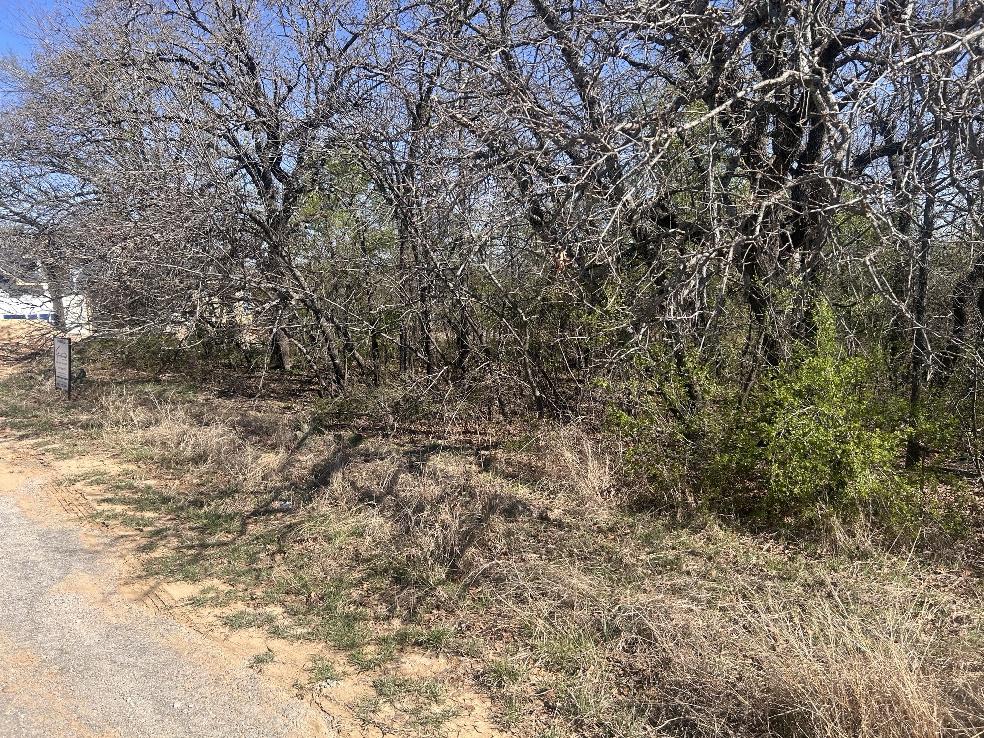Tbd Palmetto Court Runaway Bay TX 76426