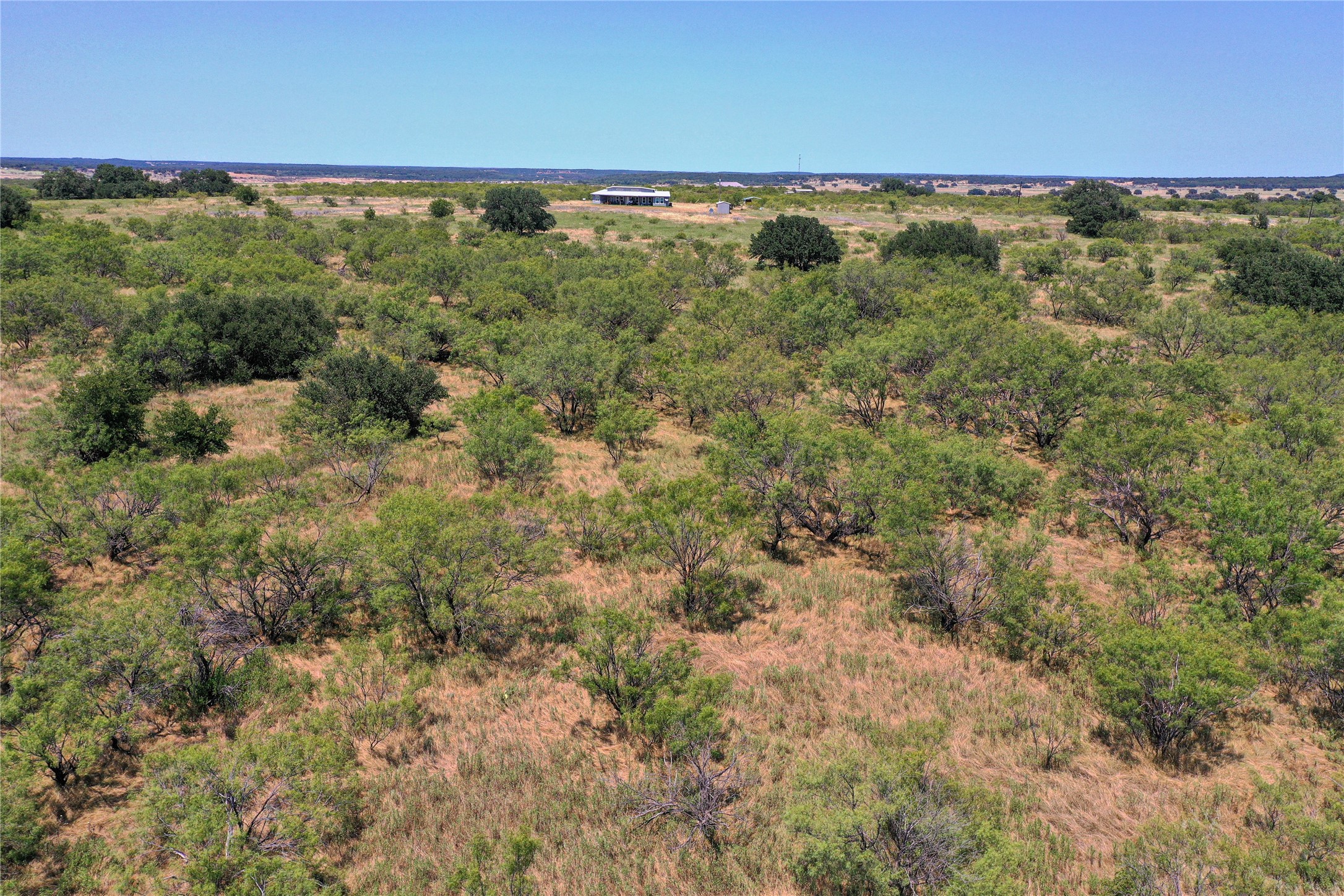 131.7 Acres Roney Road Jacksboro TX 76458