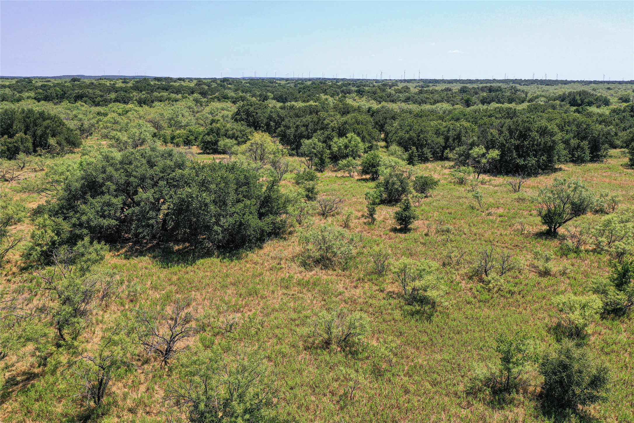 131.7 Acres Roney Road Jacksboro TX 76458