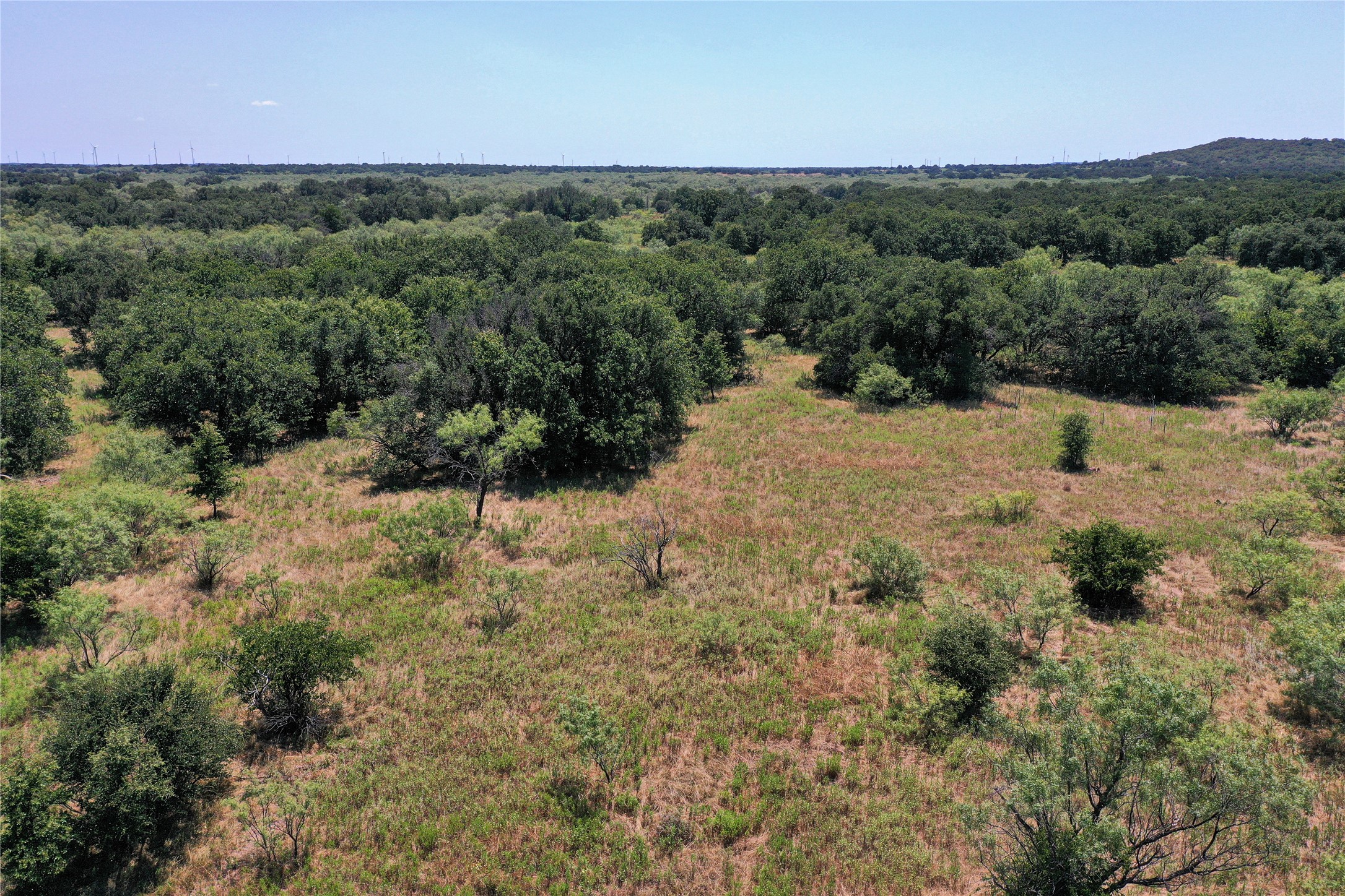 131.7 Acres Roney Road Jacksboro TX 76458