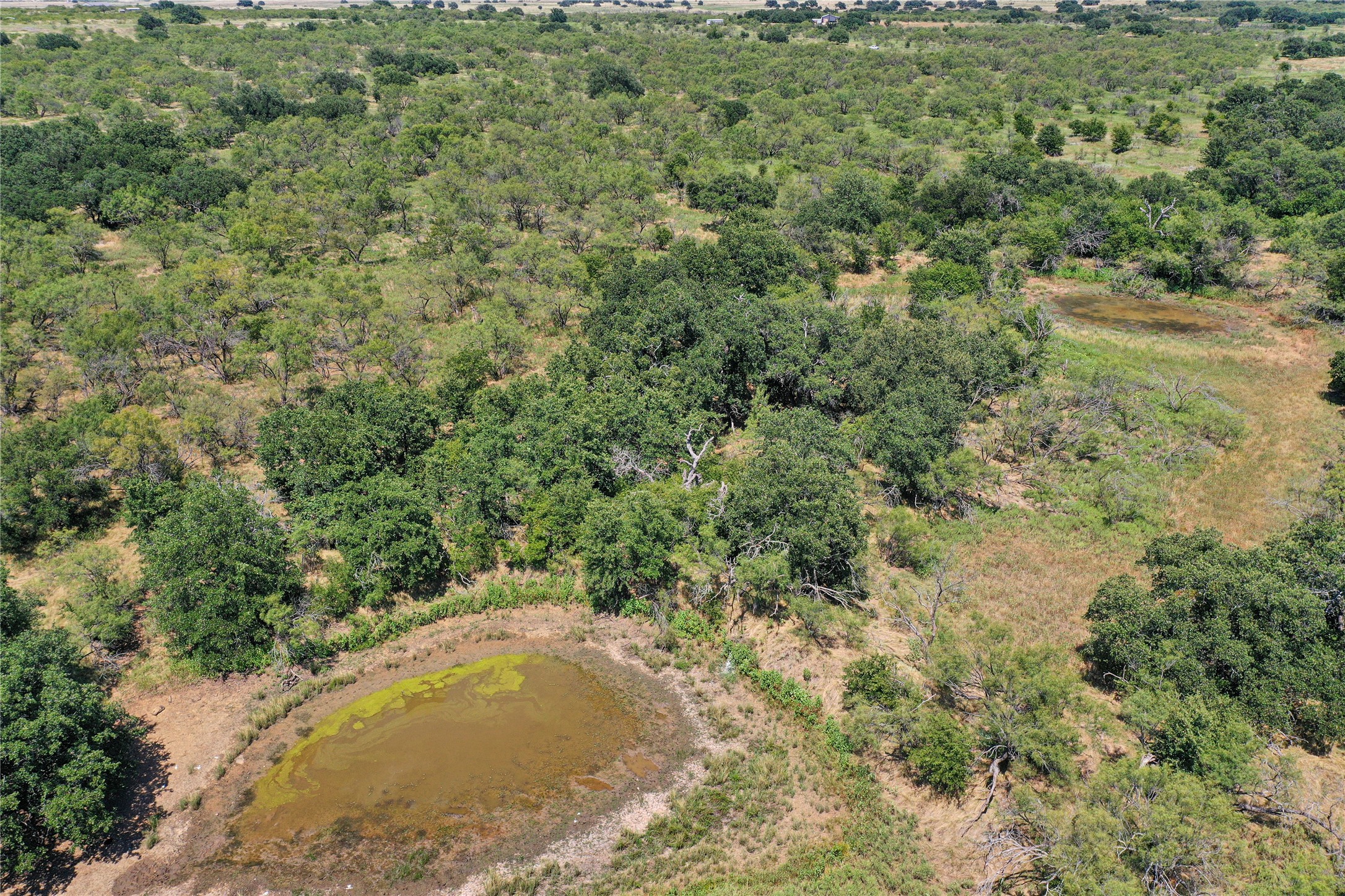131.7 Acres Roney Road Jacksboro TX 76458