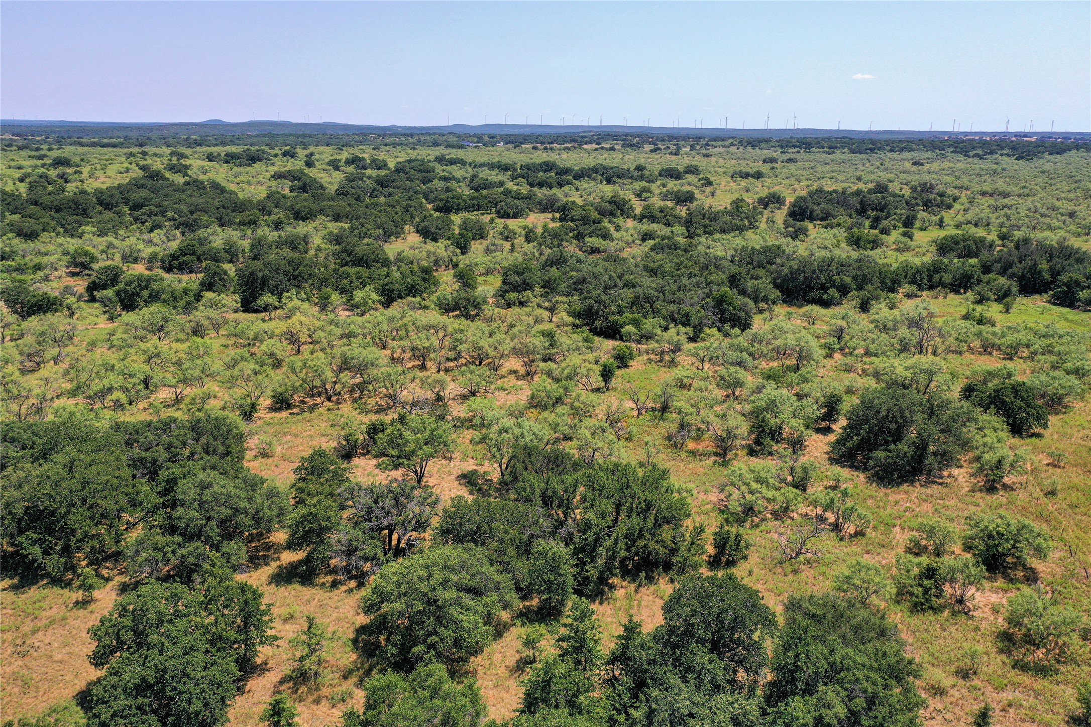 131.7 Acres Roney Road Jacksboro TX 76458
