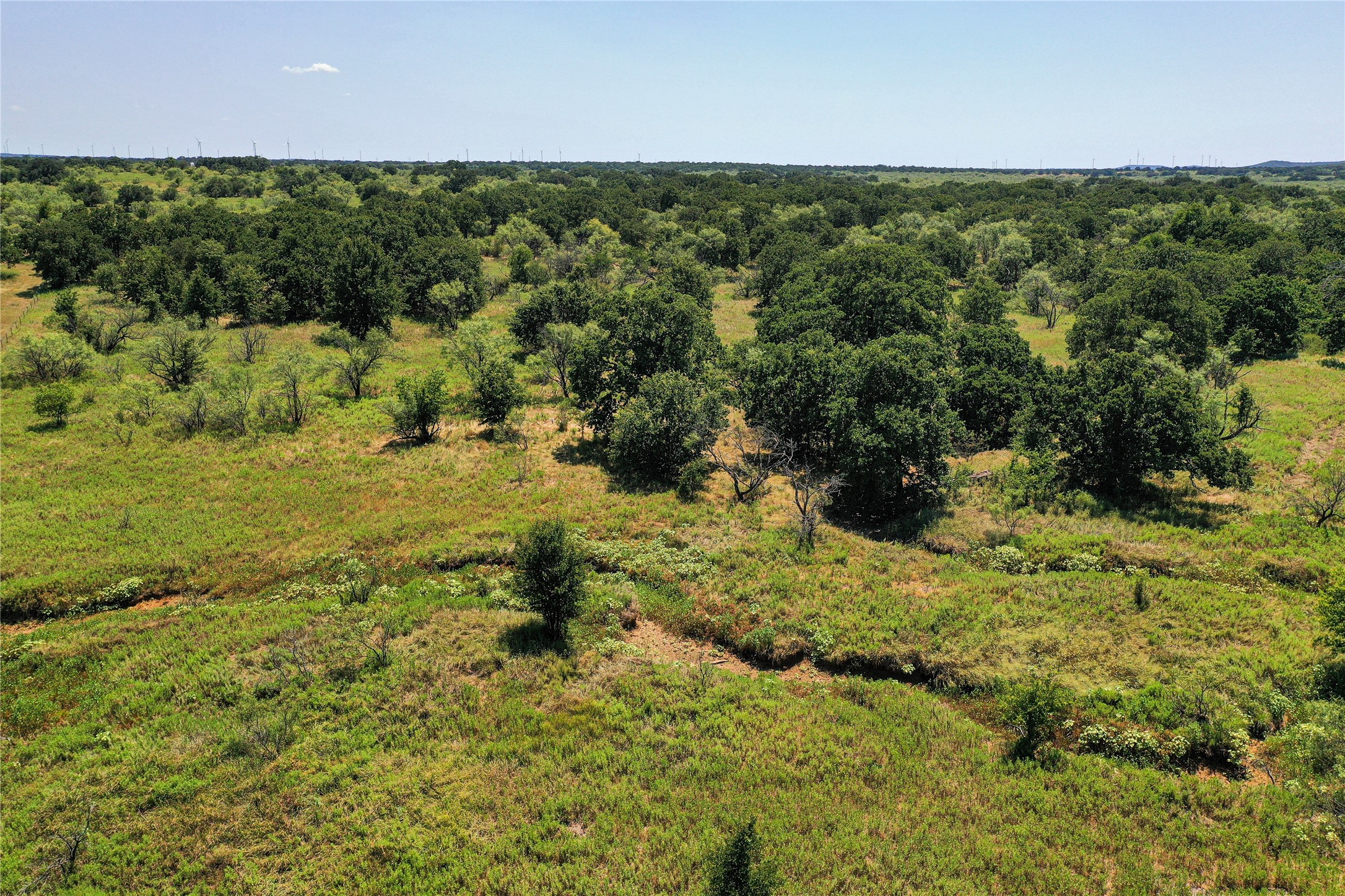 131.7 Acres Roney Road Jacksboro TX 76458