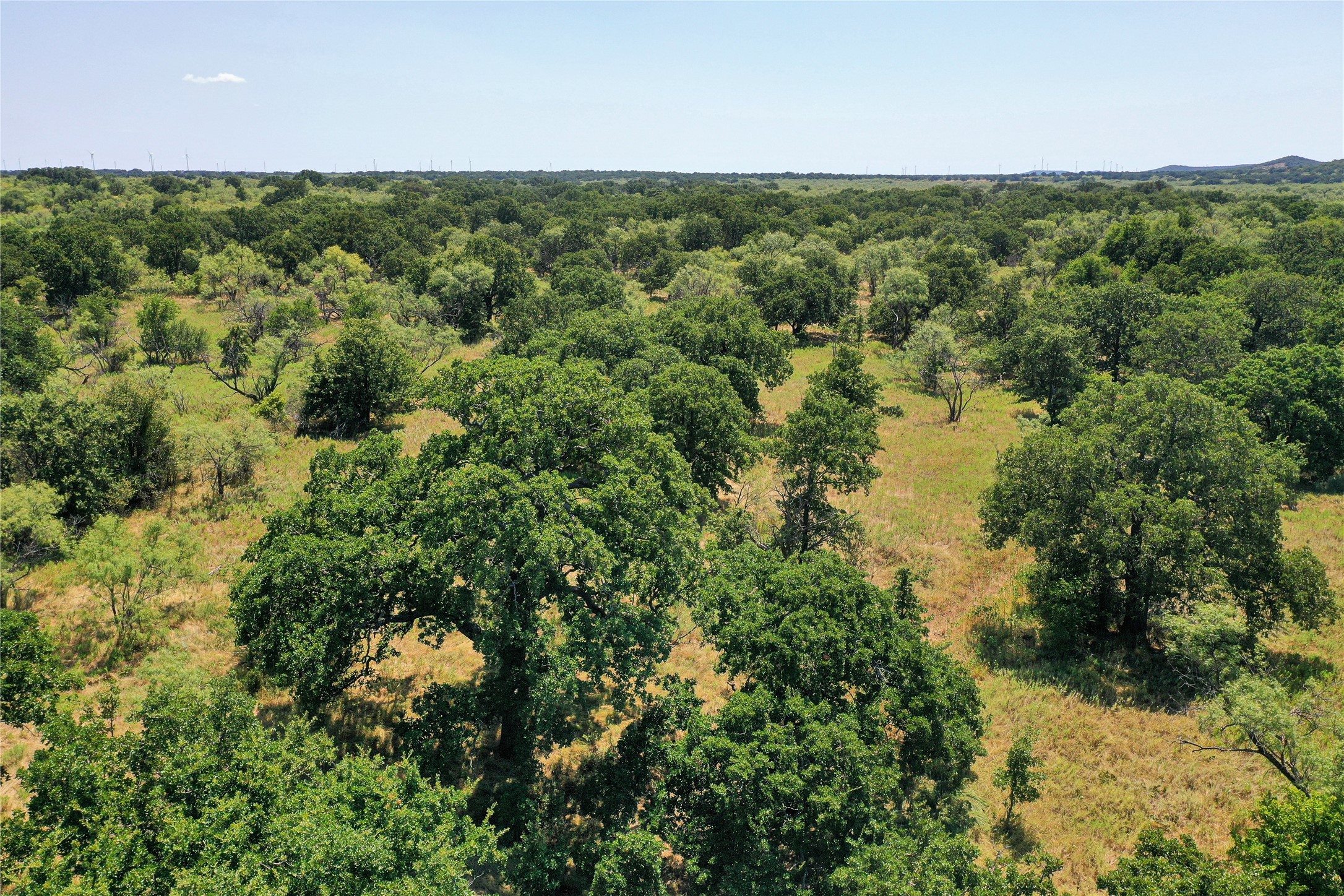131.7 Acres Roney Road Jacksboro TX 76458